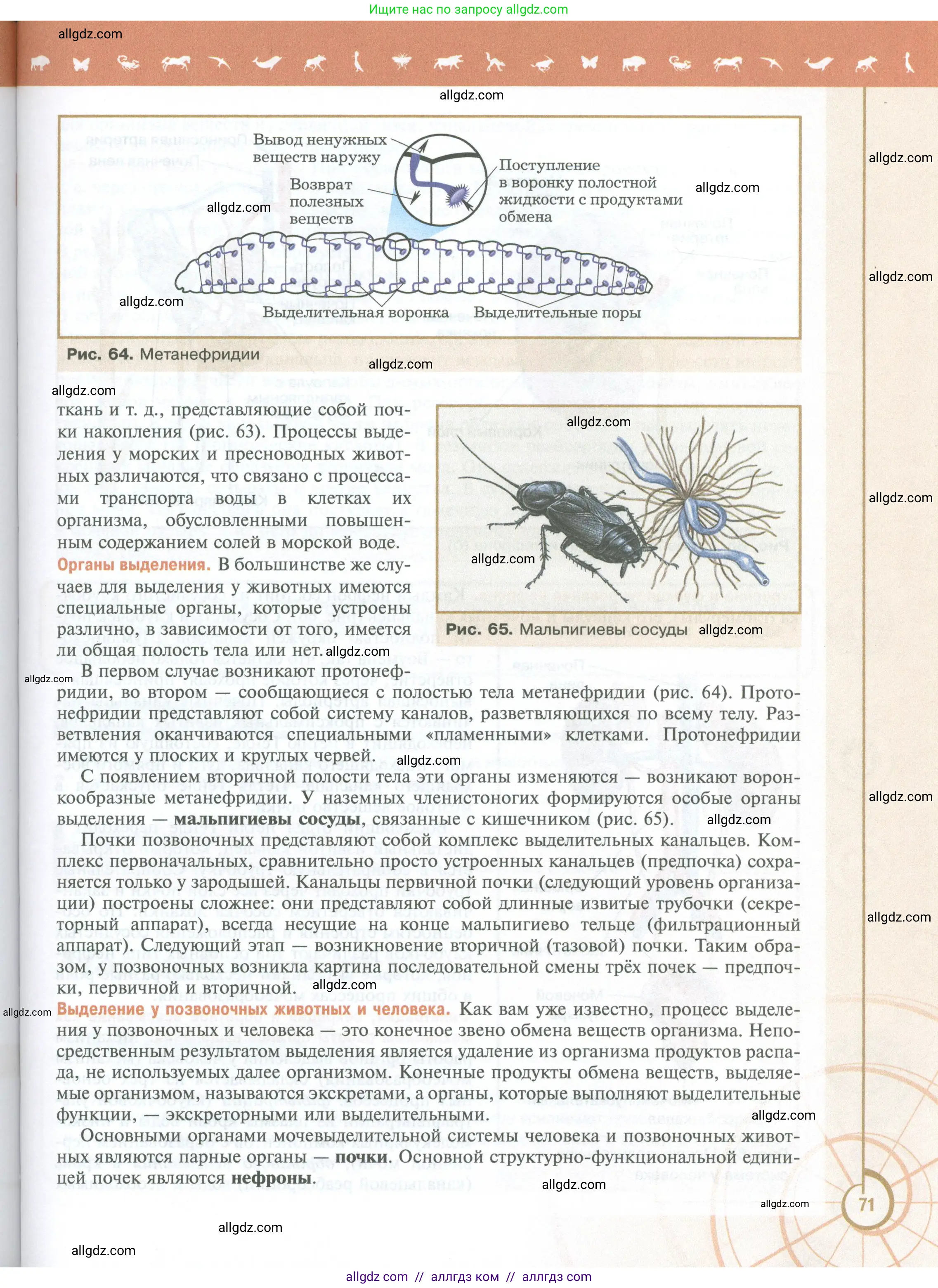 Биология, 10 класс Учебник, авторы: Пасечник Владимир Васильевич, Каменский Андрей Александрович, Рубцов Александр Михайлович, Швецов Глеб Геннадьевич, Абовян Леван Арташесович, Гапонюк Зоя Георгиевна, издательство Просвещение, Москва, 2024, коричневого цвета, страница 71