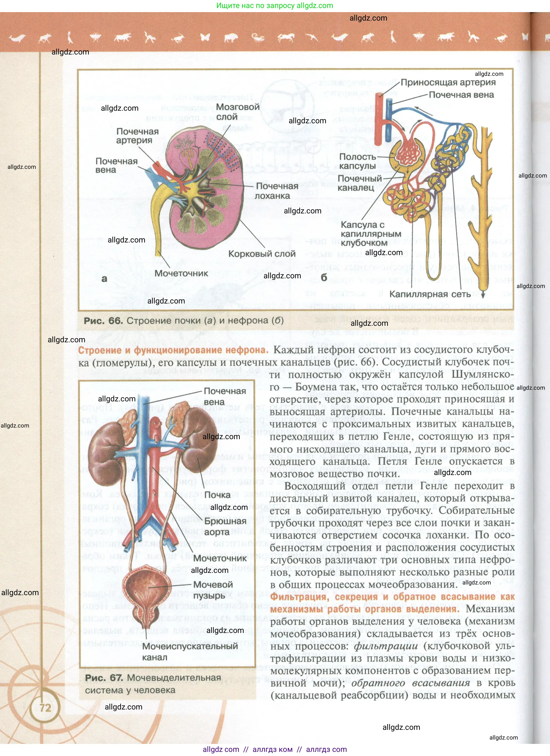 Биология, 10 класс Учебник, авторы: Пасечник Владимир Васильевич, Каменский Андрей Александрович, Рубцов Александр Михайлович, Швецов Глеб Геннадьевич, Абовян Леван Арташесович, Гапонюк Зоя Георгиевна, издательство Просвещение, Москва, 2024, коричневого цвета, страница 72
