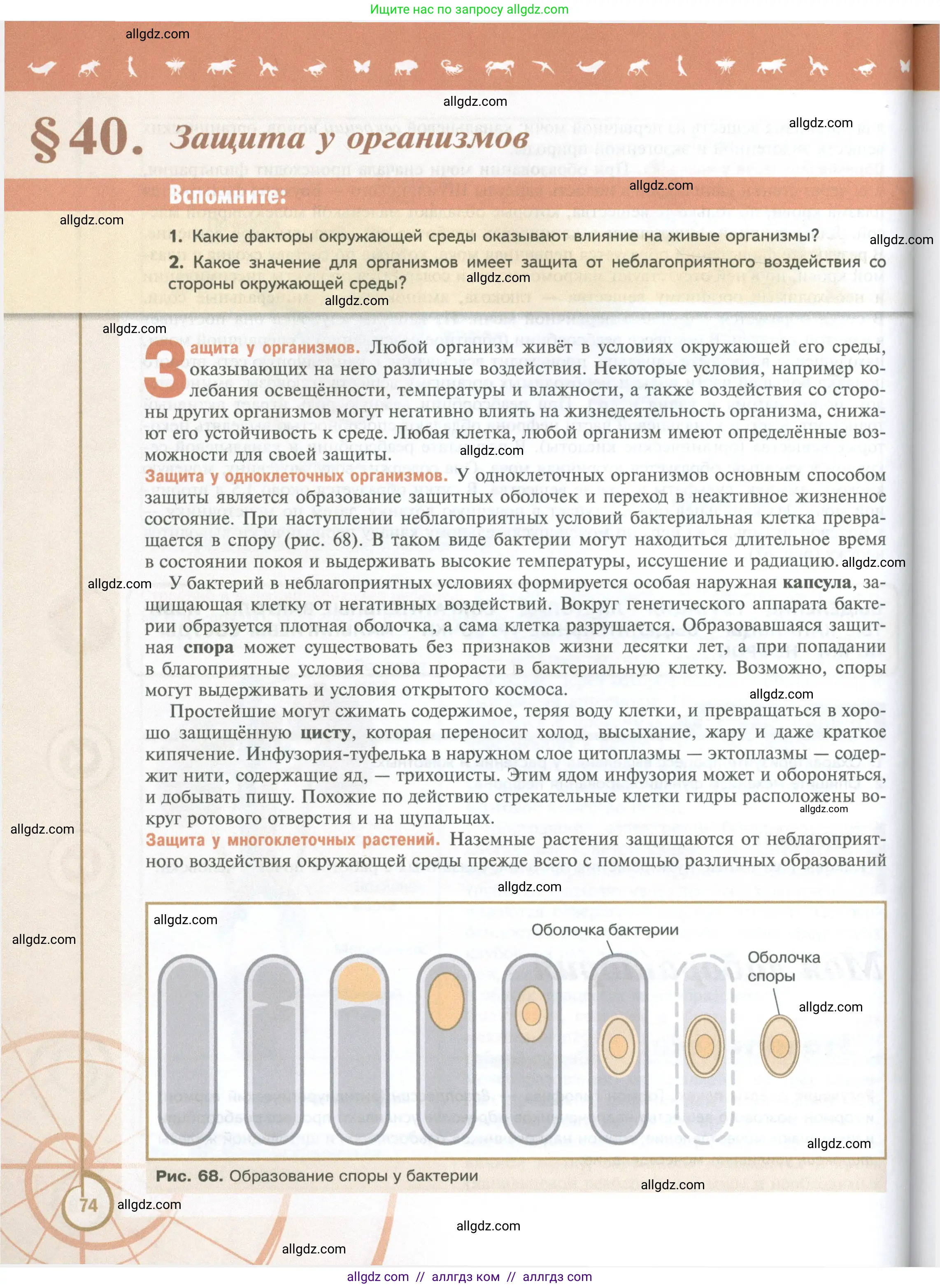 Биология, 10 класс Учебник, авторы: Пасечник Владимир Васильевич, Каменский Андрей Александрович, Рубцов Александр Михайлович, Швецов Глеб Геннадьевич, Абовян Леван Арташесович, Гапонюк Зоя Георгиевна, издательство Просвещение, Москва, 2024, коричневого цвета, Часть 2, страница 74
