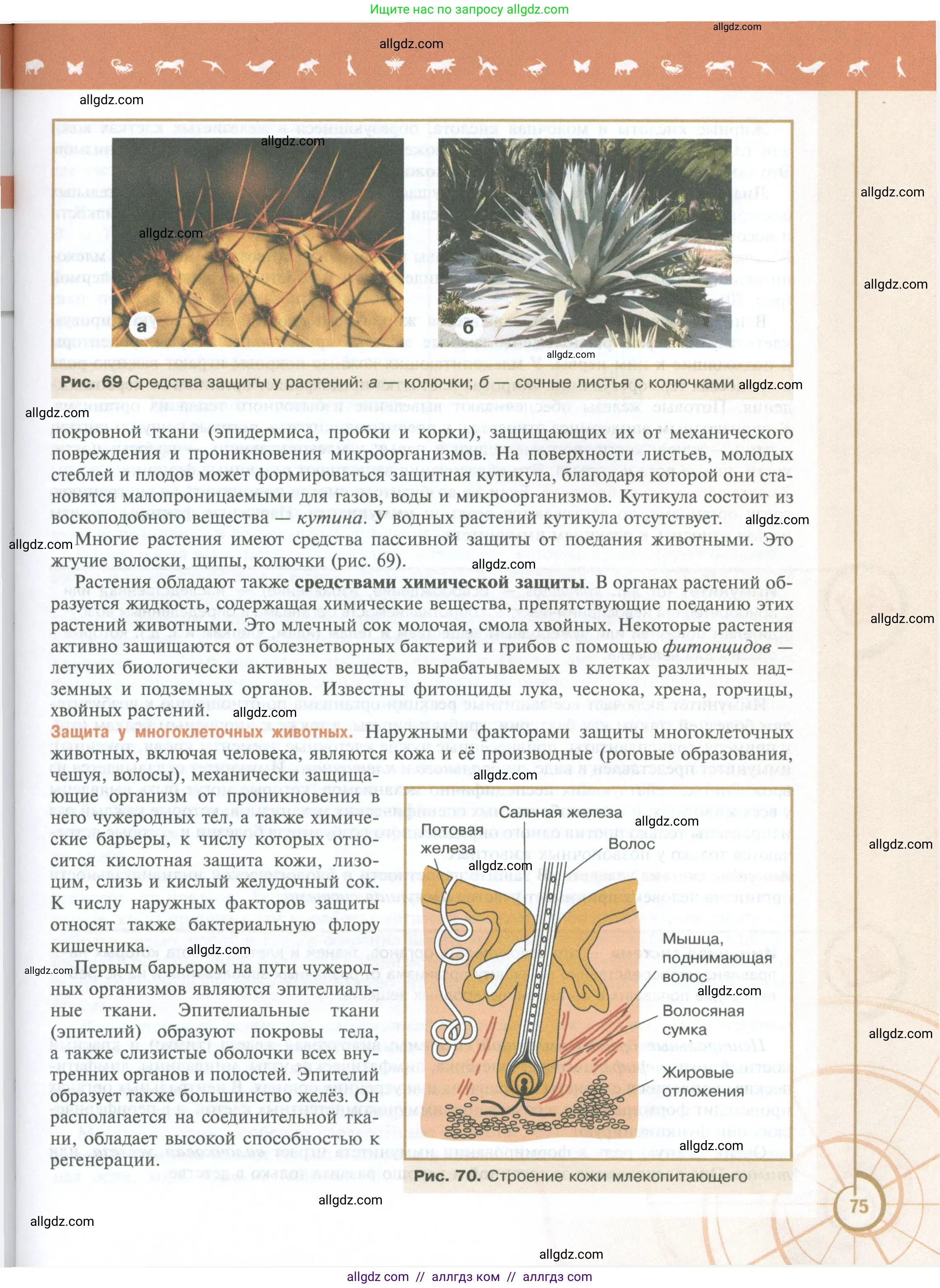 Биология, 10 класс Учебник, авторы: Пасечник Владимир Васильевич, Каменский Андрей Александрович, Рубцов Александр Михайлович, Швецов Глеб Геннадьевич, Абовян Леван Арташесович, Гапонюк Зоя Георгиевна, издательство Просвещение, Москва, 2024, коричневого цвета, страница 75