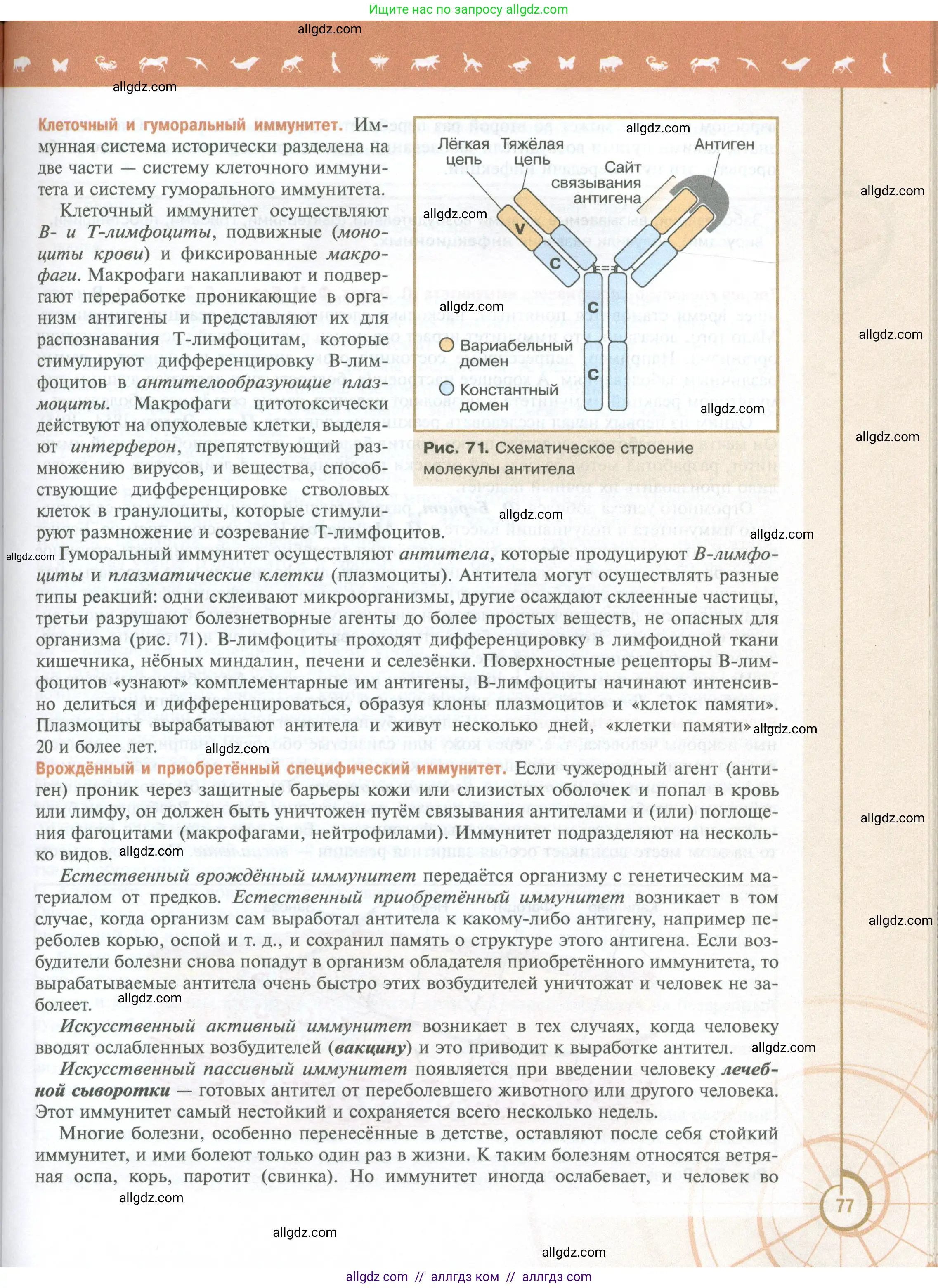 Биология, 10 класс Учебник, авторы: Пасечник Владимир Васильевич, Каменский Андрей Александрович, Рубцов Александр Михайлович, Швецов Глеб Геннадьевич, Абовян Леван Арташесович, Гапонюк Зоя Георгиевна, издательство Просвещение, Москва, 2024, коричневого цвета, страница 77