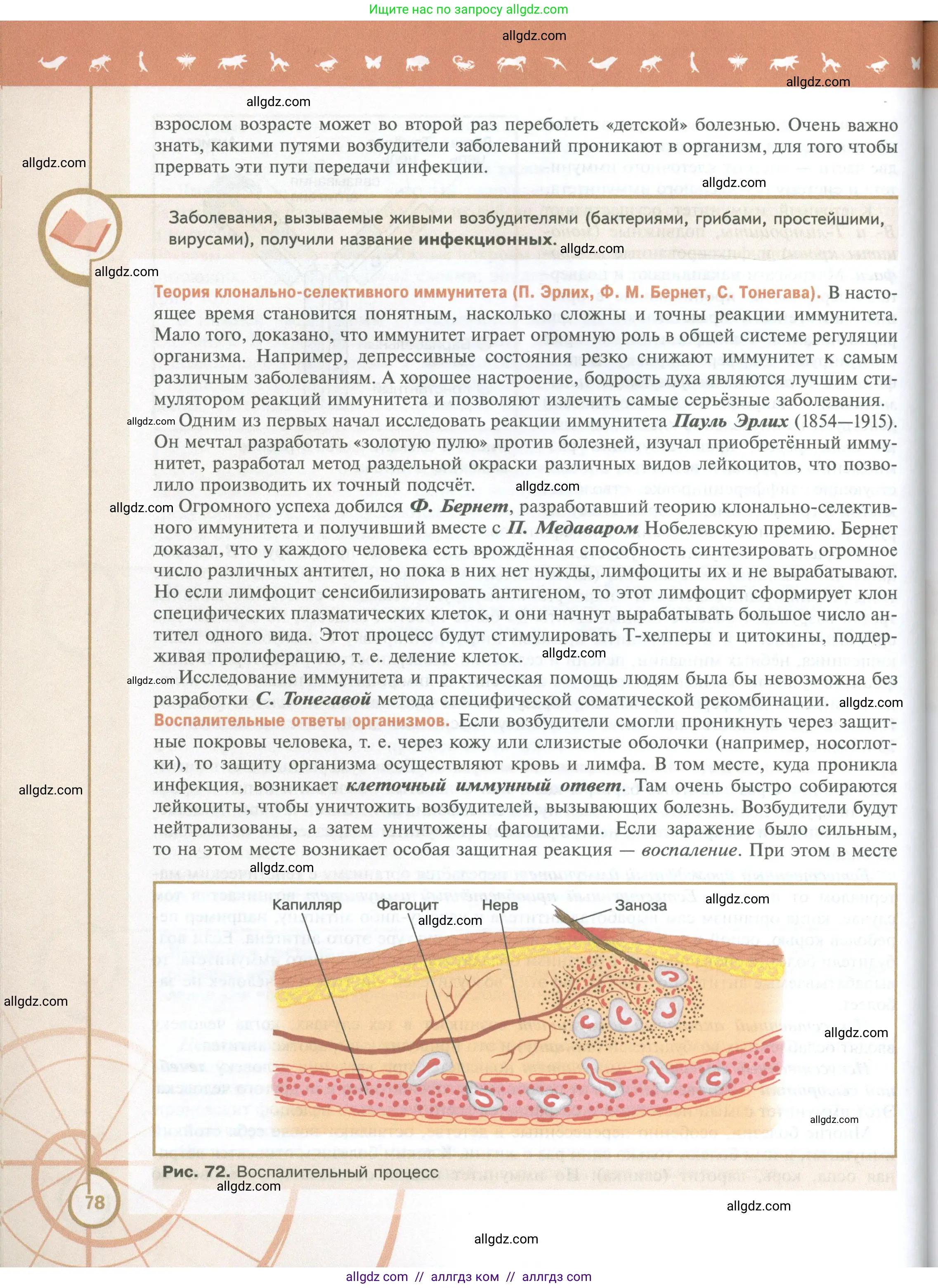 Биология, 10 класс Учебник, авторы: Пасечник Владимир Васильевич, Каменский Андрей Александрович, Рубцов Александр Михайлович, Швецов Глеб Геннадьевич, Абовян Леван Арташесович, Гапонюк Зоя Георгиевна, издательство Просвещение, Москва, 2024, коричневого цвета, страница 78