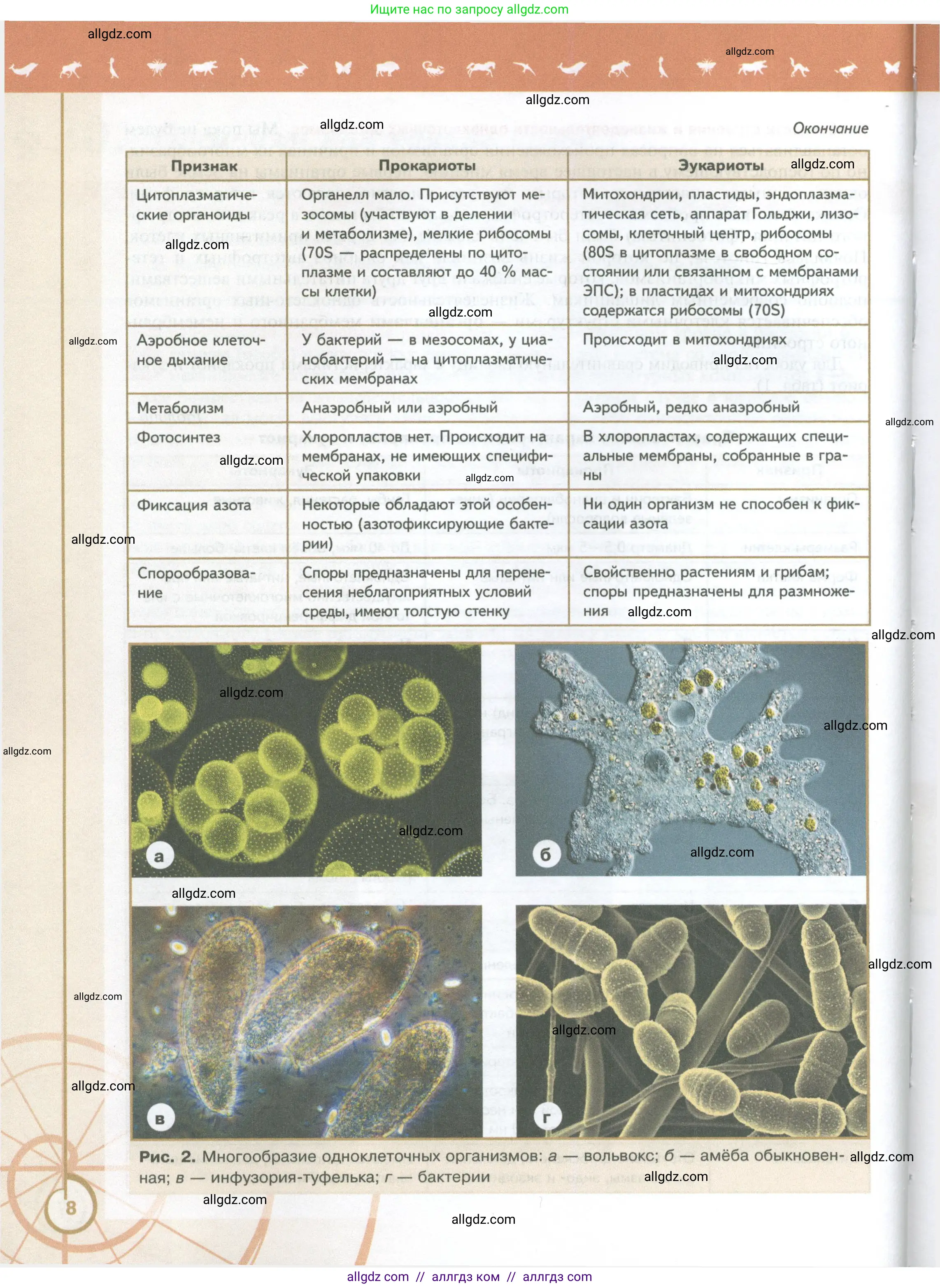 Биология, 10 класс Учебник, авторы: Пасечник Владимир Васильевич, Каменский Андрей Александрович, Рубцов Александр Михайлович, Швецов Глеб Геннадьевич, Абовян Леван Арташесович, Гапонюк Зоя Георгиевна, издательство Просвещение, Москва, 2024, коричневого цвета, страница 8