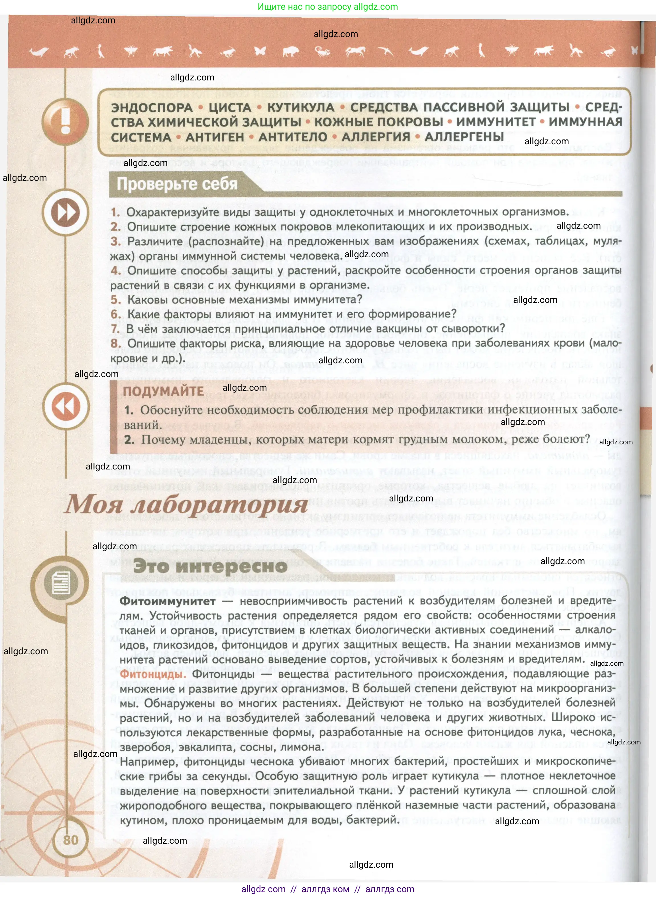 Биология, 10 класс Учебник, авторы: Пасечник Владимир Васильевич, Каменский Андрей Александрович, Рубцов Александр Михайлович, Швецов Глеб Геннадьевич, Абовян Леван Арташесович, Гапонюк Зоя Георгиевна, издательство Просвещение, Москва, 2024, коричневого цвета, Часть 2, страница 80