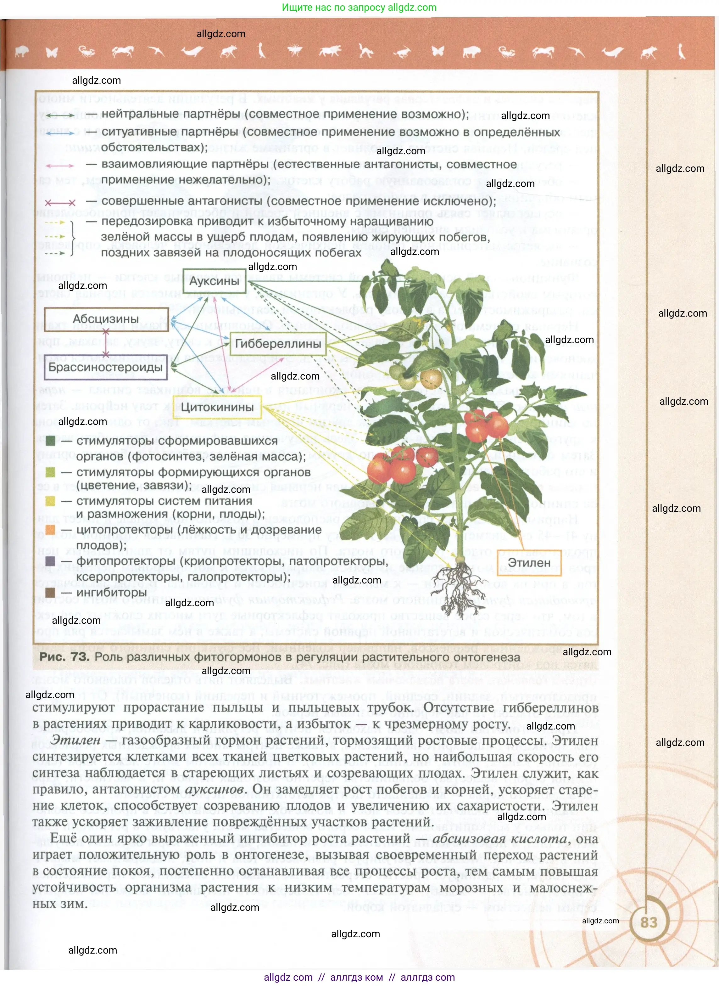 Биология, 10 класс Учебник, авторы: Пасечник Владимир Васильевич, Каменский Андрей Александрович, Рубцов Александр Михайлович, Швецов Глеб Геннадьевич, Абовян Леван Арташесович, Гапонюк Зоя Георгиевна, издательство Просвещение, Москва, 2024, коричневого цвета, страница 83