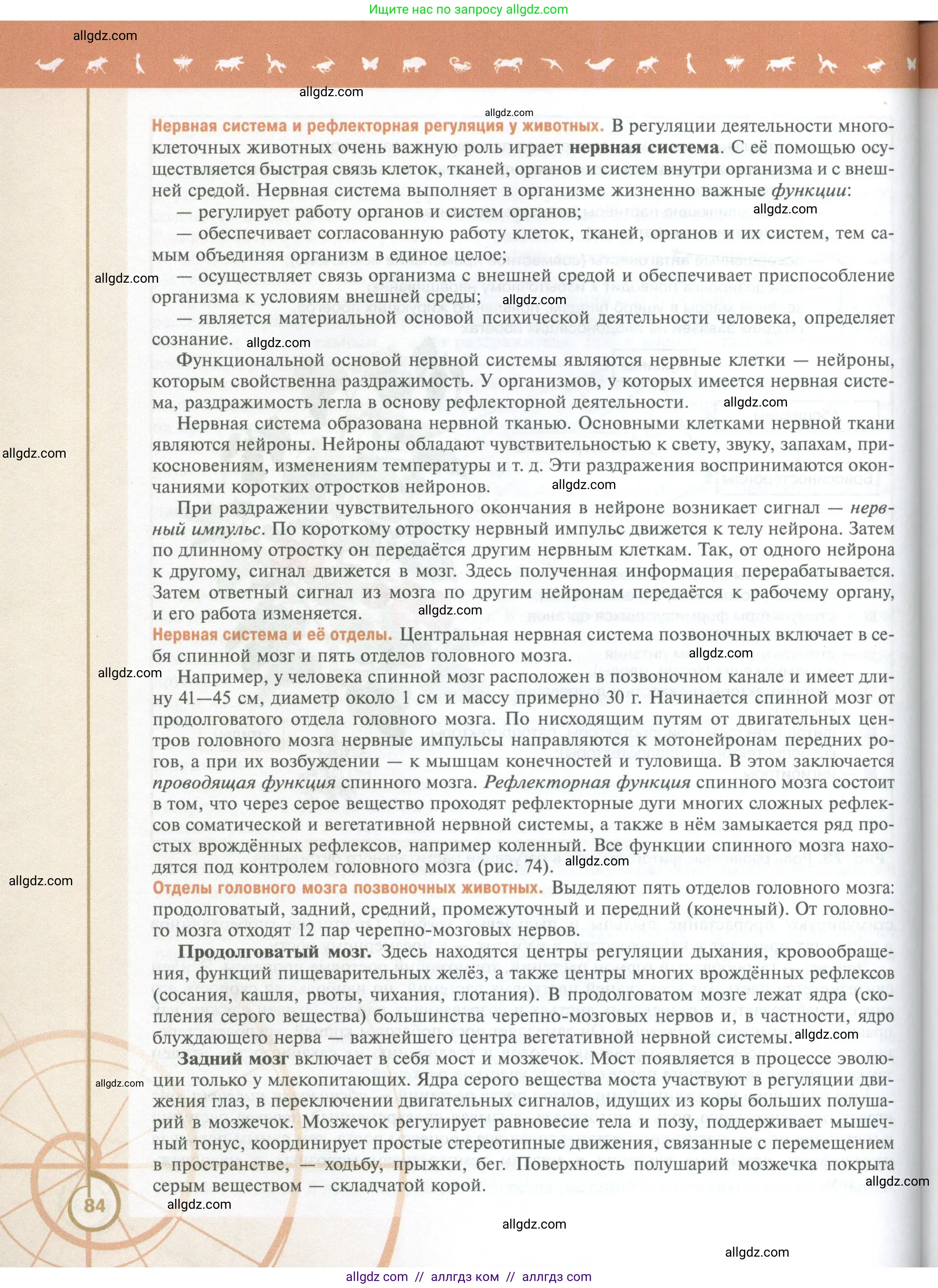 Биология, 10 класс Учебник, авторы: Пасечник Владимир Васильевич, Каменский Андрей Александрович, Рубцов Александр Михайлович, Швецов Глеб Геннадьевич, Абовян Леван Арташесович, Гапонюк Зоя Георгиевна, издательство Просвещение, Москва, 2024, коричневого цвета, страница 84
