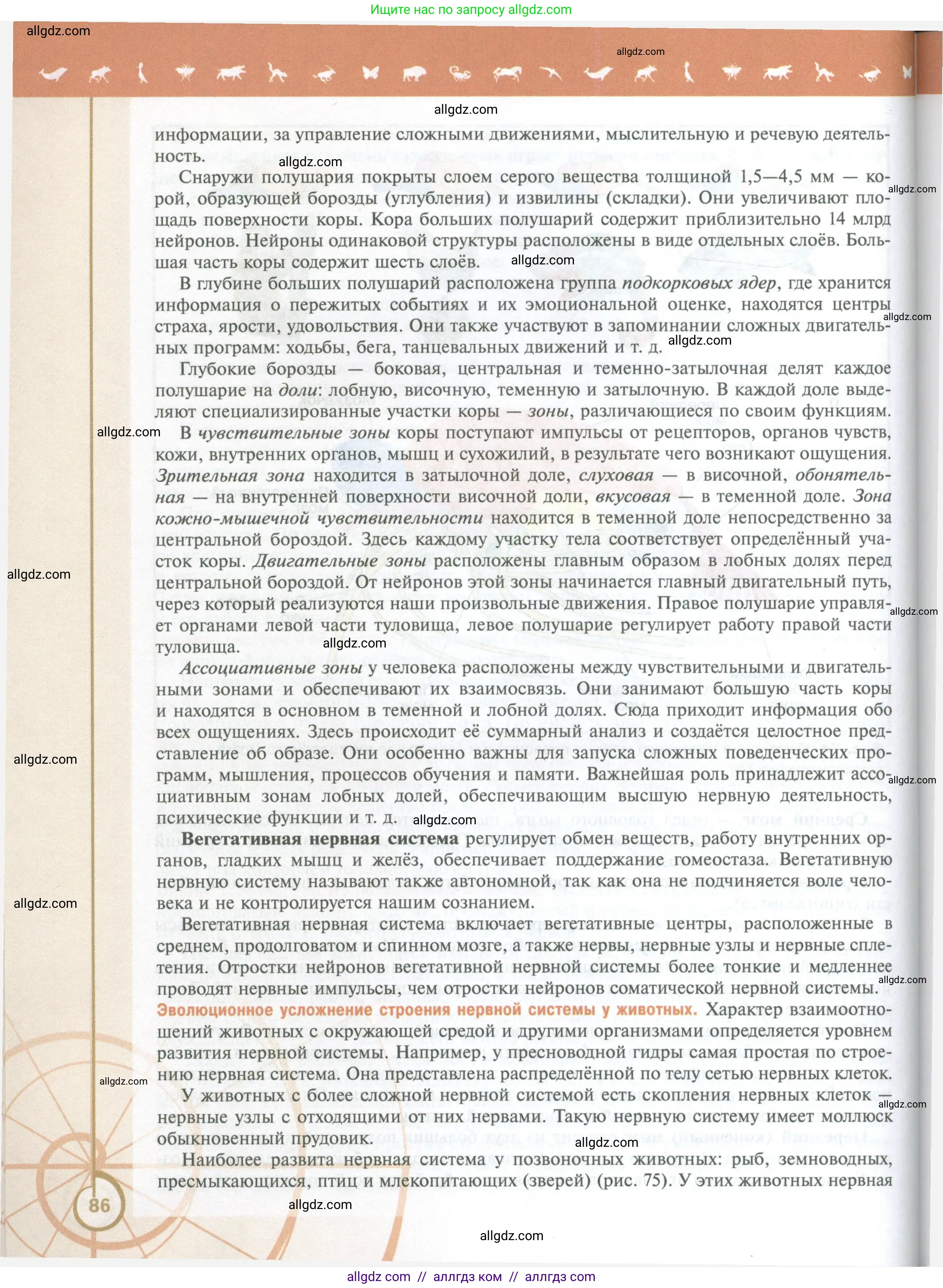 Биология, 10 класс Учебник, авторы: Пасечник Владимир Васильевич, Каменский Андрей Александрович, Рубцов Александр Михайлович, Швецов Глеб Геннадьевич, Абовян Леван Арташесович, Гапонюк Зоя Георгиевна, издательство Просвещение, Москва, 2024, коричневого цвета, страница 86