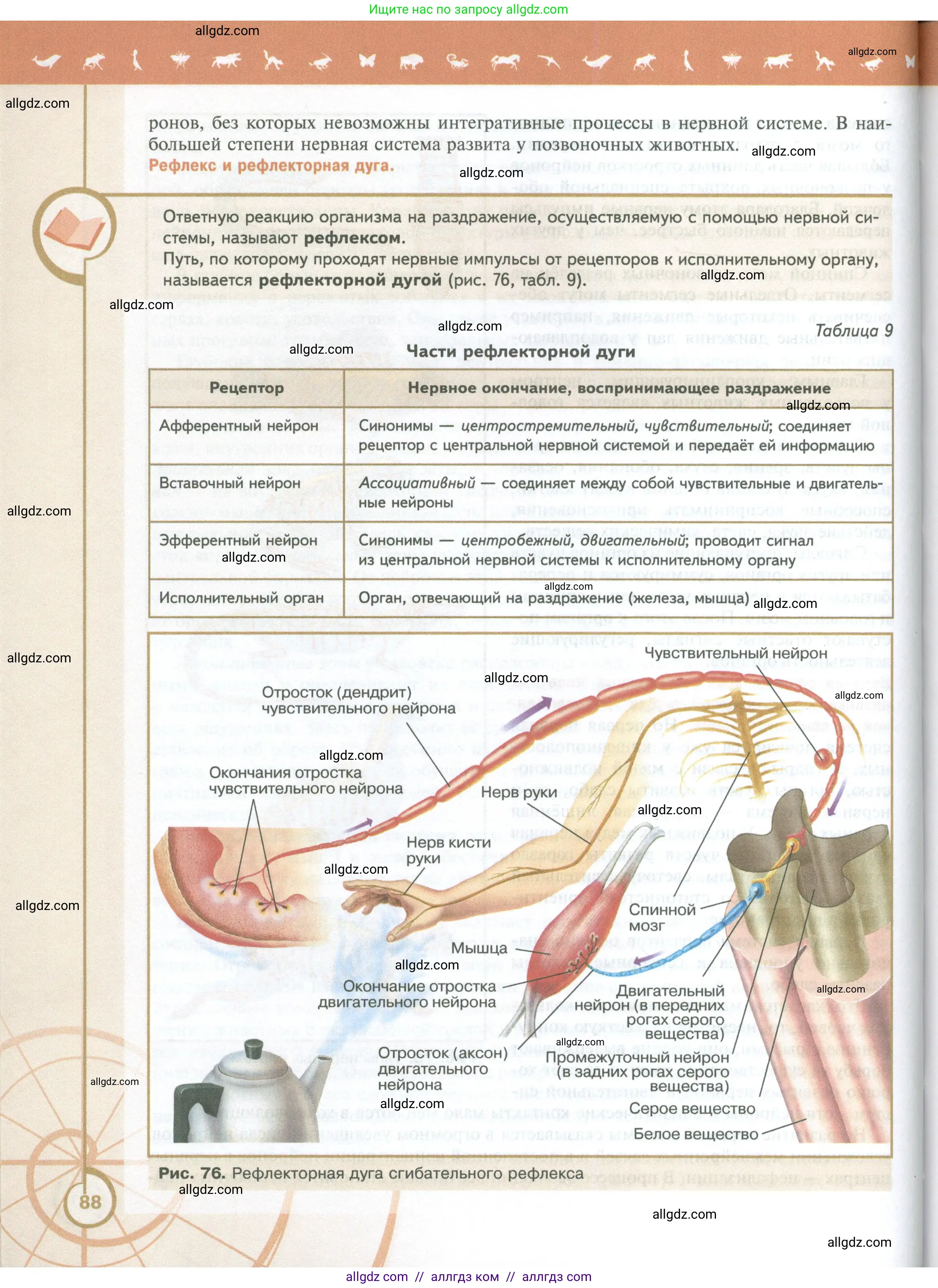 Биология, 10 класс Учебник, авторы: Пасечник Владимир Васильевич, Каменский Андрей Александрович, Рубцов Александр Михайлович, Швецов Глеб Геннадьевич, Абовян Леван Арташесович, Гапонюк Зоя Георгиевна, издательство Просвещение, Москва, 2024, коричневого цвета, страница 88