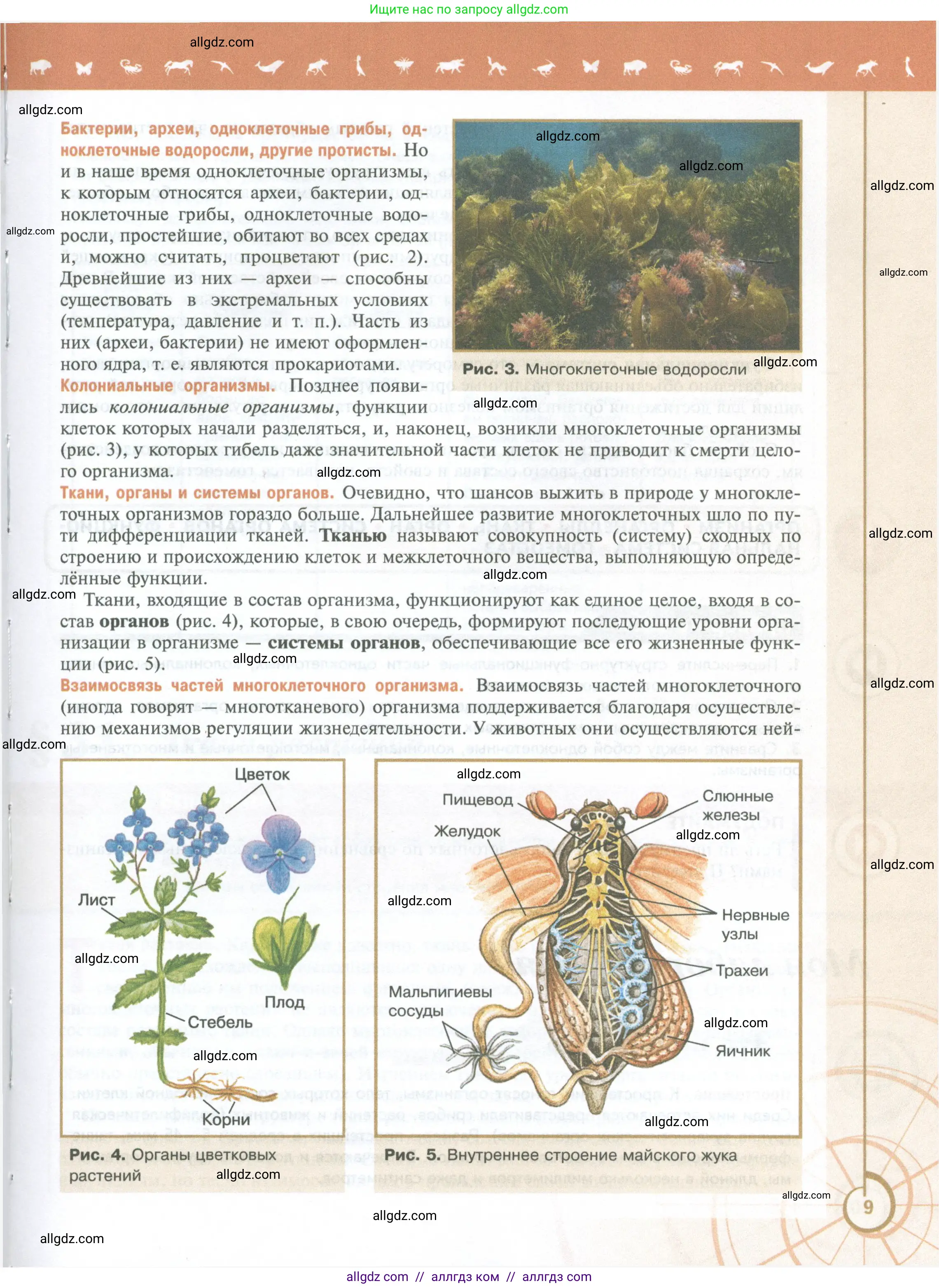 Биология, 10 класс Учебник, авторы: Пасечник Владимир Васильевич, Каменский Андрей Александрович, Рубцов Александр Михайлович, Швецов Глеб Геннадьевич, Абовян Леван Арташесович, Гапонюк Зоя Георгиевна, издательство Просвещение, Москва, 2024, коричневого цвета, страница 9
