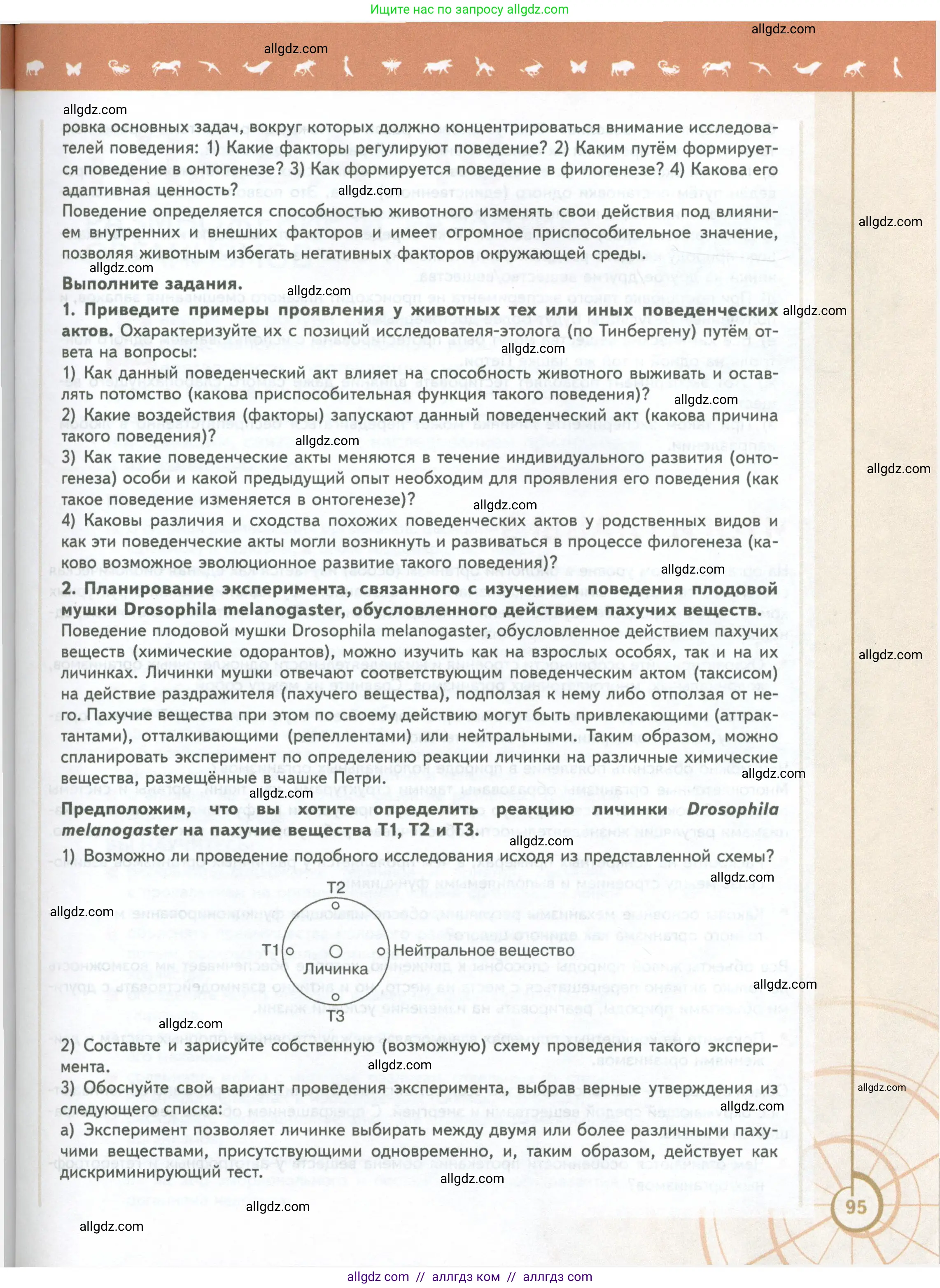 Биология, 10 класс Учебник, авторы: Пасечник Владимир Васильевич, Каменский Андрей Александрович, Рубцов Александр Михайлович, Швецов Глеб Геннадьевич, Абовян Леван Арташесович, Гапонюк Зоя Георгиевна, издательство Просвещение, Москва, 2024, коричневого цвета, страница 95