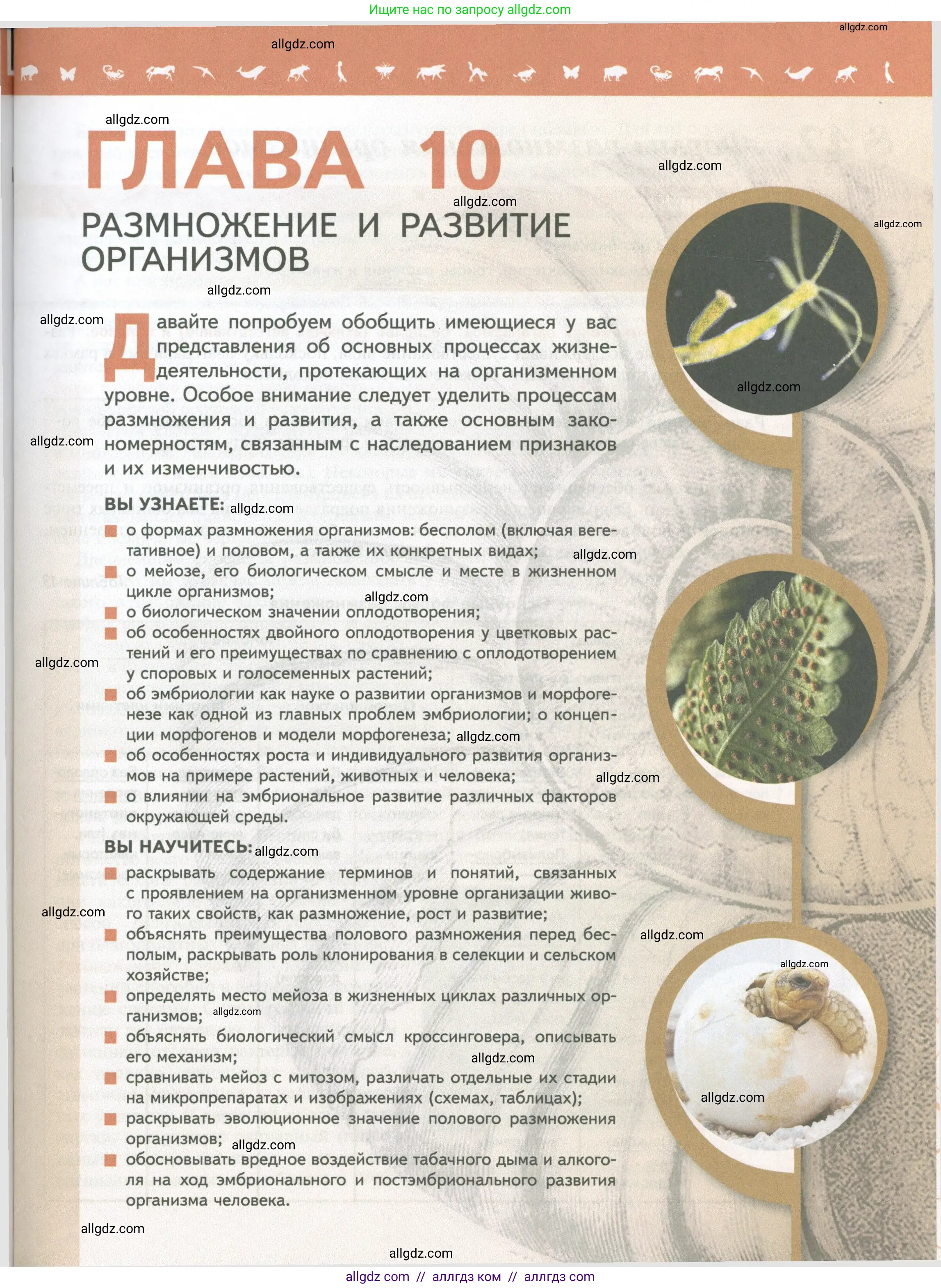 Биология, 10 класс Учебник, авторы: Пасечник Владимир Васильевич, Каменский Андрей Александрович, Рубцов Александр Михайлович, Швецов Глеб Геннадьевич, Абовян Леван Арташесович, Гапонюк Зоя Георгиевна, издательство Просвещение, Москва, 2024, коричневого цвета, страница 97