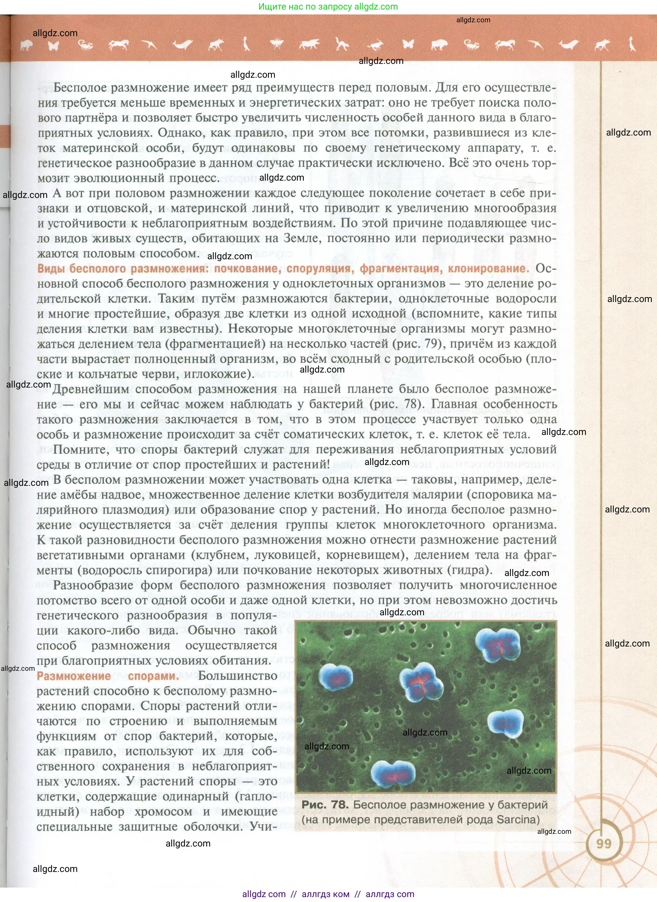 Биология, 10 класс Учебник, авторы: Пасечник Владимир Васильевич, Каменский Андрей Александрович, Рубцов Александр Михайлович, Швецов Глеб Геннадьевич, Абовян Леван Арташесович, Гапонюк Зоя Георгиевна, издательство Просвещение, Москва, 2024, коричневого цвета, страница 99