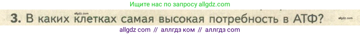 Биология, 10 класс Учебник, авторы: Пасечник Владимир Васильевич, Каменский Андрей Александрович, Рубцов Александр Михайлович, Швецов Глеб Геннадьевич, Абовян Леван Арташесович, Гапонюк Зоя Георгиевна, издательство Просвещение, Москва, 2024, коричневого цвета, Часть 1, страница 182, номер 3, Условие
