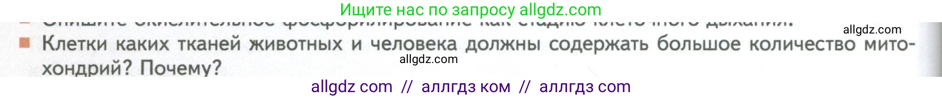 Биология, 10 класс Учебник, авторы: Пасечник Владимир Васильевич, Каменский Андрей Александрович, Рубцов Александр Михайлович, Швецов Глеб Геннадьевич, Абовян Леван Арташесович, Гапонюк Зоя Георгиевна, издательство Просвещение, Москва, 2024, коричневого цвета, Часть 1, страница 192, номер 13, Условие