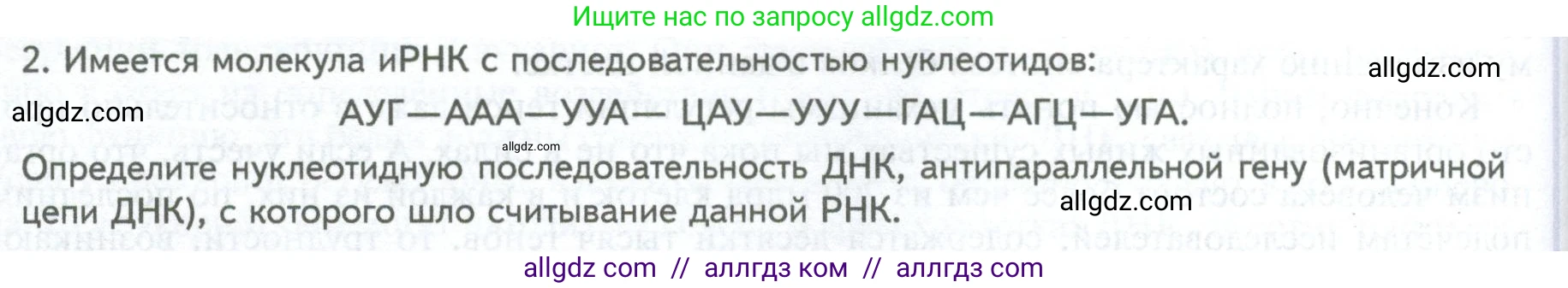Биология, 10 класс Учебник, авторы: Пасечник Владимир Васильевич, Каменский Андрей Александрович, Рубцов Александр Михайлович, Швецов Глеб Геннадьевич, Абовян Леван Арташесович, Гапонюк Зоя Георгиевна, издательство Просвещение, Москва, 2024, коричневого цвета, Часть 1, страница 210, номер 2, Условие