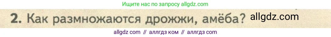 Биология, 10 класс Учебник, авторы: Пасечник Владимир Васильевич, Каменский Андрей Александрович, Рубцов Александр Михайлович, Швецов Глеб Геннадьевич, Абовян Леван Арташесович, Гапонюк Зоя Георгиевна, издательство Просвещение, Москва, 2024, коричневого цвета, Часть 1, страница 230, номер 2, Условие