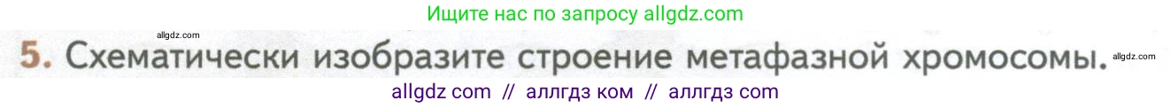 Биология, 10 класс Учебник, авторы: Пасечник Владимир Васильевич, Каменский Андрей Александрович, Рубцов Александр Михайлович, Швецов Глеб Геннадьевич, Абовян Леван Арташесович, Гапонюк Зоя Георгиевна, издательство Просвещение, Москва, 2024, коричневого цвета, Часть 1, страница 236, номер 5, Условие