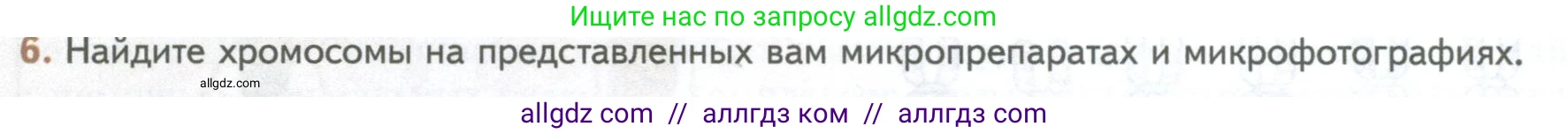Биология, 10 класс Учебник, авторы: Пасечник Владимир Васильевич, Каменский Андрей Александрович, Рубцов Александр Михайлович, Швецов Глеб Геннадьевич, Абовян Леван Арташесович, Гапонюк Зоя Георгиевна, издательство Просвещение, Москва, 2024, коричневого цвета, Часть 1, страница 236, номер 6, Условие
