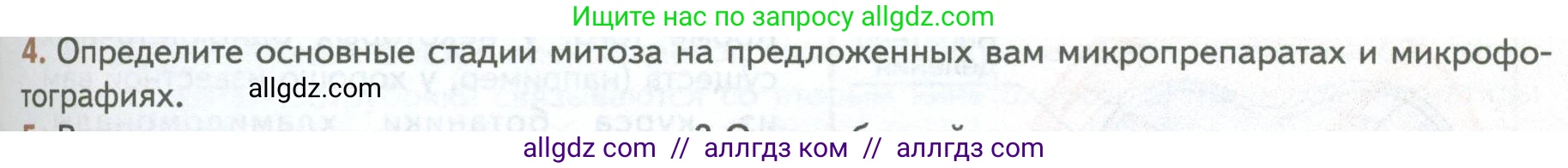 Биология, 10 класс Учебник, авторы: Пасечник Владимир Васильевич, Каменский Андрей Александрович, Рубцов Александр Михайлович, Швецов Глеб Геннадьевич, Абовян Леван Арташесович, Гапонюк Зоя Георгиевна, издательство Просвещение, Москва, 2024, коричневого цвета, Часть 1, страница 241, номер 4, Условие