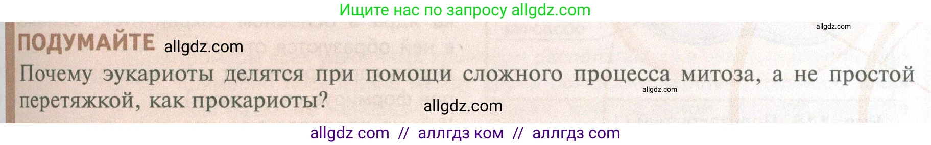 Биология, 10 класс Учебник, авторы: Пасечник Владимир Васильевич, Каменский Андрей Александрович, Рубцов Александр Михайлович, Швецов Глеб Геннадьевич, Абовян Леван Арташесович, Гапонюк Зоя Георгиевна, издательство Просвещение, Москва, 2024, коричневого цвета, Часть 1, страница 241, Условие