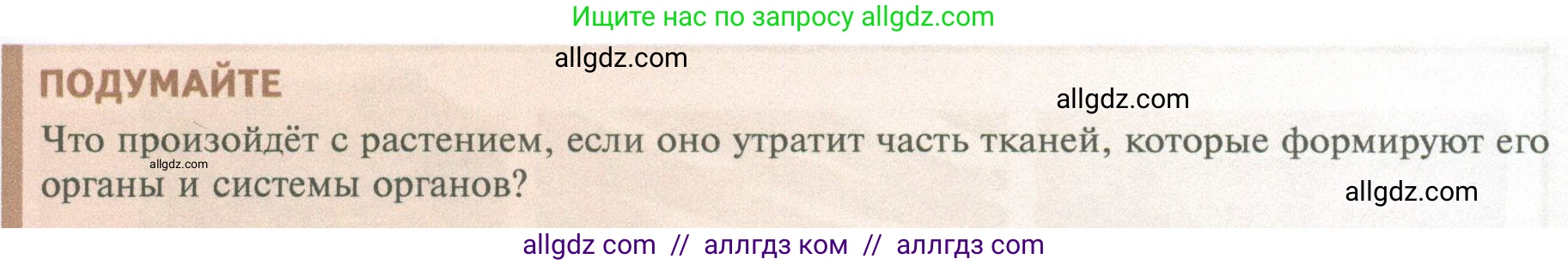 Биология, 10 класс Учебник, авторы: Пасечник Владимир Васильевич, Каменский Андрей Александрович, Рубцов Александр Михайлович, Швецов Глеб Геннадьевич, Абовян Леван Арташесович, Гапонюк Зоя Георгиевна, издательство Просвещение, Москва, 2024, коричневого цвета, Часть 2, страница 15, Условие