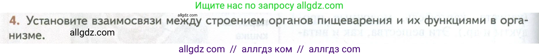 Биология, 10 класс Учебник, авторы: Пасечник Владимир Васильевич, Каменский Андрей Александрович, Рубцов Александр Михайлович, Швецов Глеб Геннадьевич, Абовян Леван Арташесович, Гапонюк Зоя Георгиевна, издательство Просвещение, Москва, 2024, коричневого цвета, Часть 2, страница 48, номер 4, Условие