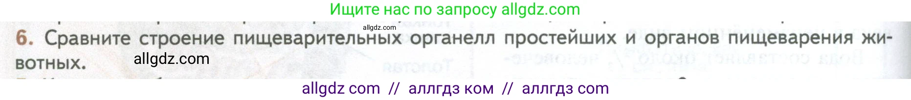 Биология, 10 класс Учебник, авторы: Пасечник Владимир Васильевич, Каменский Андрей Александрович, Рубцов Александр Михайлович, Швецов Глеб Геннадьевич, Абовян Леван Арташесович, Гапонюк Зоя Георгиевна, издательство Просвещение, Москва, 2024, коричневого цвета, Часть 2, страница 48, номер 6, Условие
