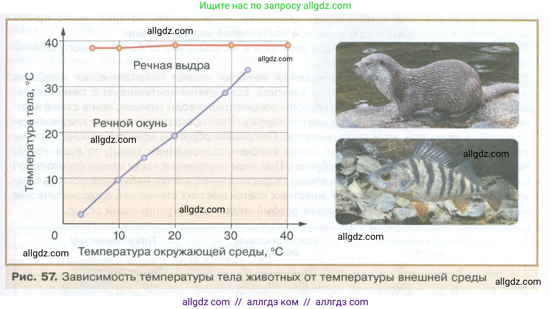 Биология, 10 класс Учебник, авторы: Пасечник Владимир Васильевич, Каменский Андрей Александрович, Рубцов Александр Михайлович, Швецов Глеб Геннадьевич, Абовян Леван Арташесович, Гапонюк Зоя Георгиевна, издательство Просвещение, Москва, 2024, коричневого цвета, Часть 2, страница 67, номер 1, Условие (продолжение 2)
