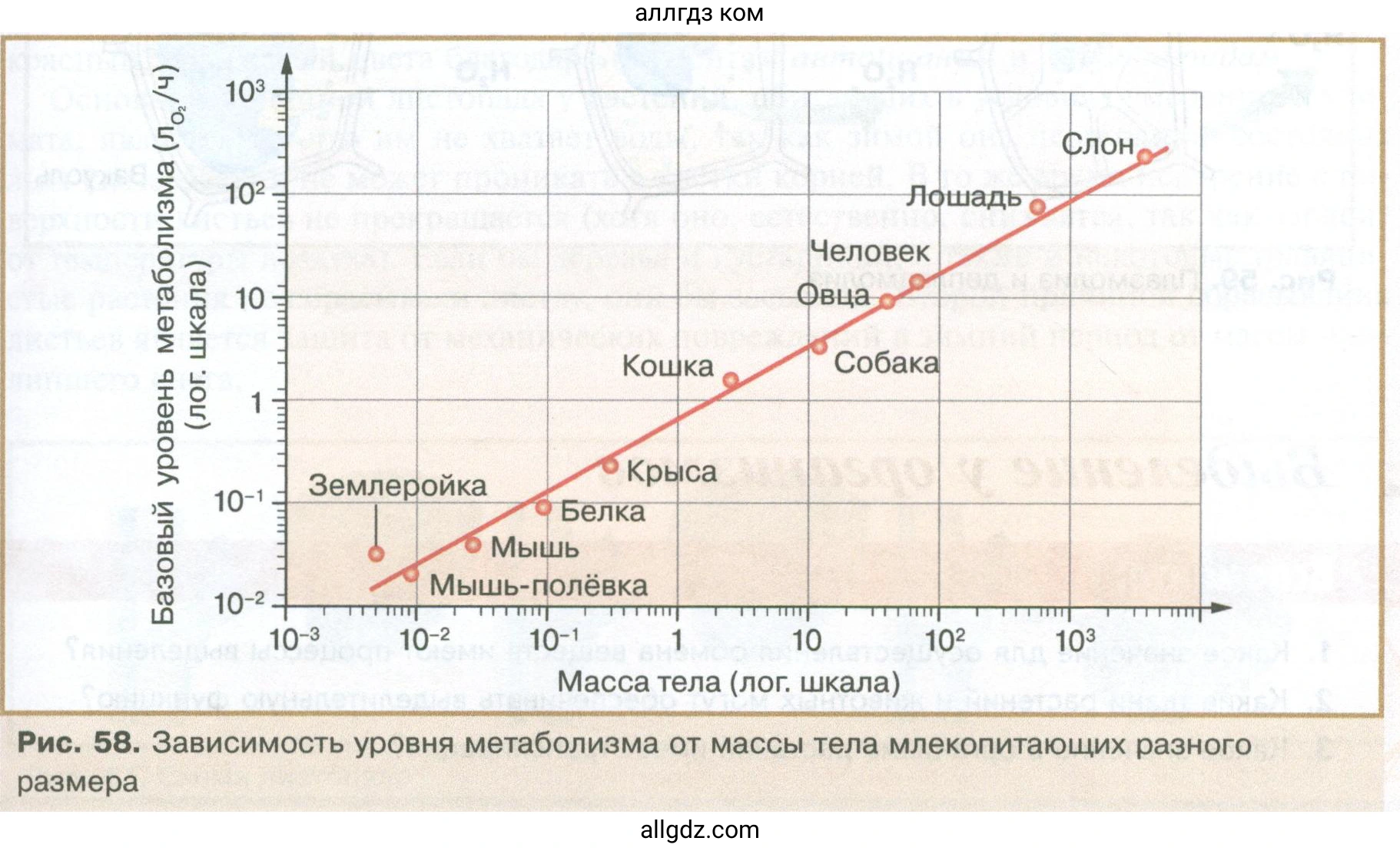 Биология, 10 класс Учебник, авторы: Пасечник Владимир Васильевич, Каменский Андрей Александрович, Рубцов Александр Михайлович, Швецов Глеб Геннадьевич, Абовян Леван Арташесович, Гапонюк Зоя Георгиевна, издательство Просвещение, Москва, 2024, коричневого цвета, Часть 2, страница 67, номер 2, Условие (продолжение 2)