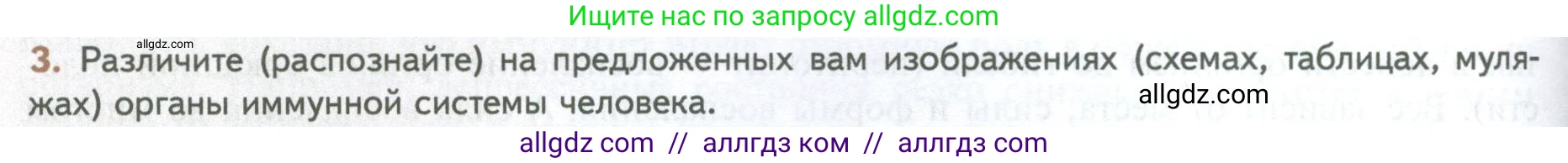 Биология, 10 класс Учебник, авторы: Пасечник Владимир Васильевич, Каменский Андрей Александрович, Рубцов Александр Михайлович, Швецов Глеб Геннадьевич, Абовян Леван Арташесович, Гапонюк Зоя Георгиевна, издательство Просвещение, Москва, 2024, коричневого цвета, Часть 2, страница 80, номер 3, Условие