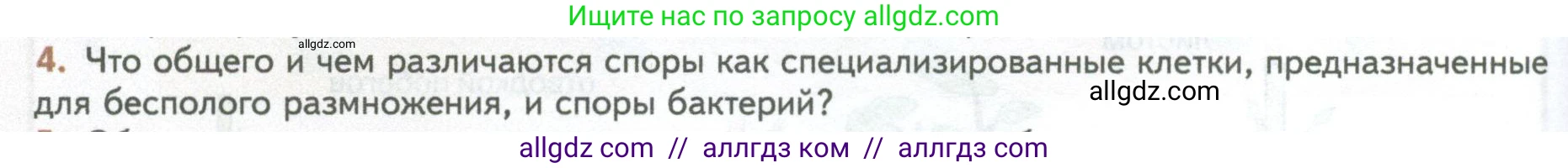 Биология, 10 класс Учебник, авторы: Пасечник Владимир Васильевич, Каменский Андрей Александрович, Рубцов Александр Михайлович, Швецов Глеб Геннадьевич, Абовян Леван Арташесович, Гапонюк Зоя Георгиевна, издательство Просвещение, Москва, 2024, коричневого цвета, Часть 2, страница 104, номер 4, Условие