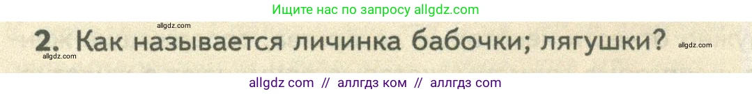 Биология, 10 класс Учебник, авторы: Пасечник Владимир Васильевич, Каменский Андрей Александрович, Рубцов Александр Михайлович, Швецов Глеб Геннадьевич, Абовян Леван Арташесович, Гапонюк Зоя Георгиевна, издательство Просвещение, Москва, 2024, коричневого цвета, Часть 2, страница 120, номер 2, Условие