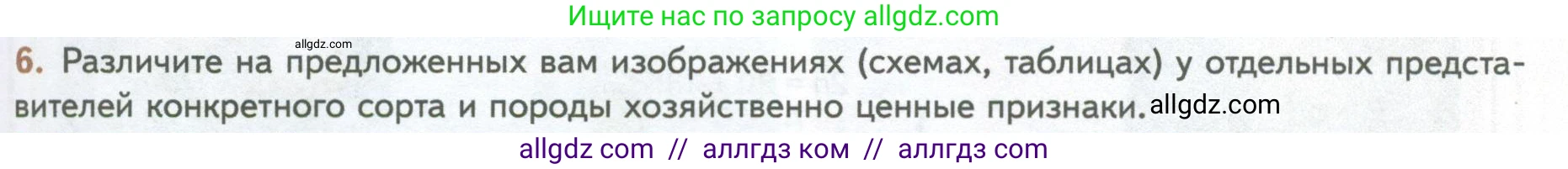 Биология, 10 класс Учебник, авторы: Пасечник Владимир Васильевич, Каменский Андрей Александрович, Рубцов Александр Михайлович, Швецов Глеб Геннадьевич, Абовян Леван Арташесович, Гапонюк Зоя Георгиевна, издательство Просвещение, Москва, 2024, коричневого цвета, Часть 2, страница 247, номер 6, Условие