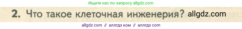 Биология, 10 класс Учебник, авторы: Пасечник Владимир Васильевич, Каменский Андрей Александрович, Рубцов Александр Михайлович, Швецов Глеб Геннадьевич, Абовян Леван Арташесович, Гапонюк Зоя Георгиевна, издательство Просвещение, Москва, 2024, коричневого цвета, Часть 2, страница 272, номер 2, Условие