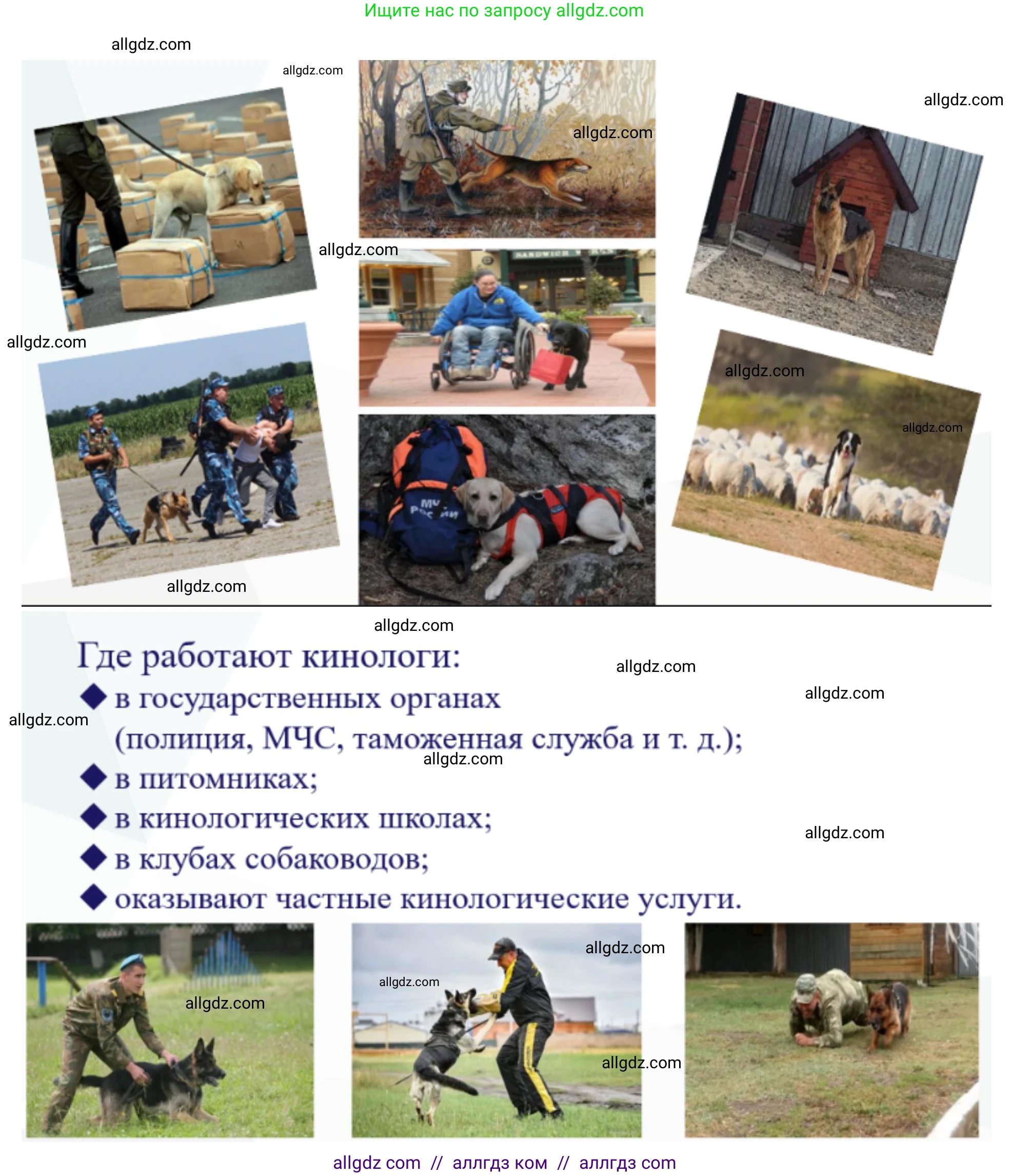 Биология, 10 класс Учебник, авторы: Пасечник Владимир Васильевич, Каменский Андрей Александрович, Рубцов Александр Михайлович, Швецов Глеб Геннадьевич, Абовян Леван Арташесович, Гапонюк Зоя Георгиевна, издательство Просвещение, Москва, 2024, коричневого цвета, Часть 1, страница 12, номер 7, Решение (продолжение 3)