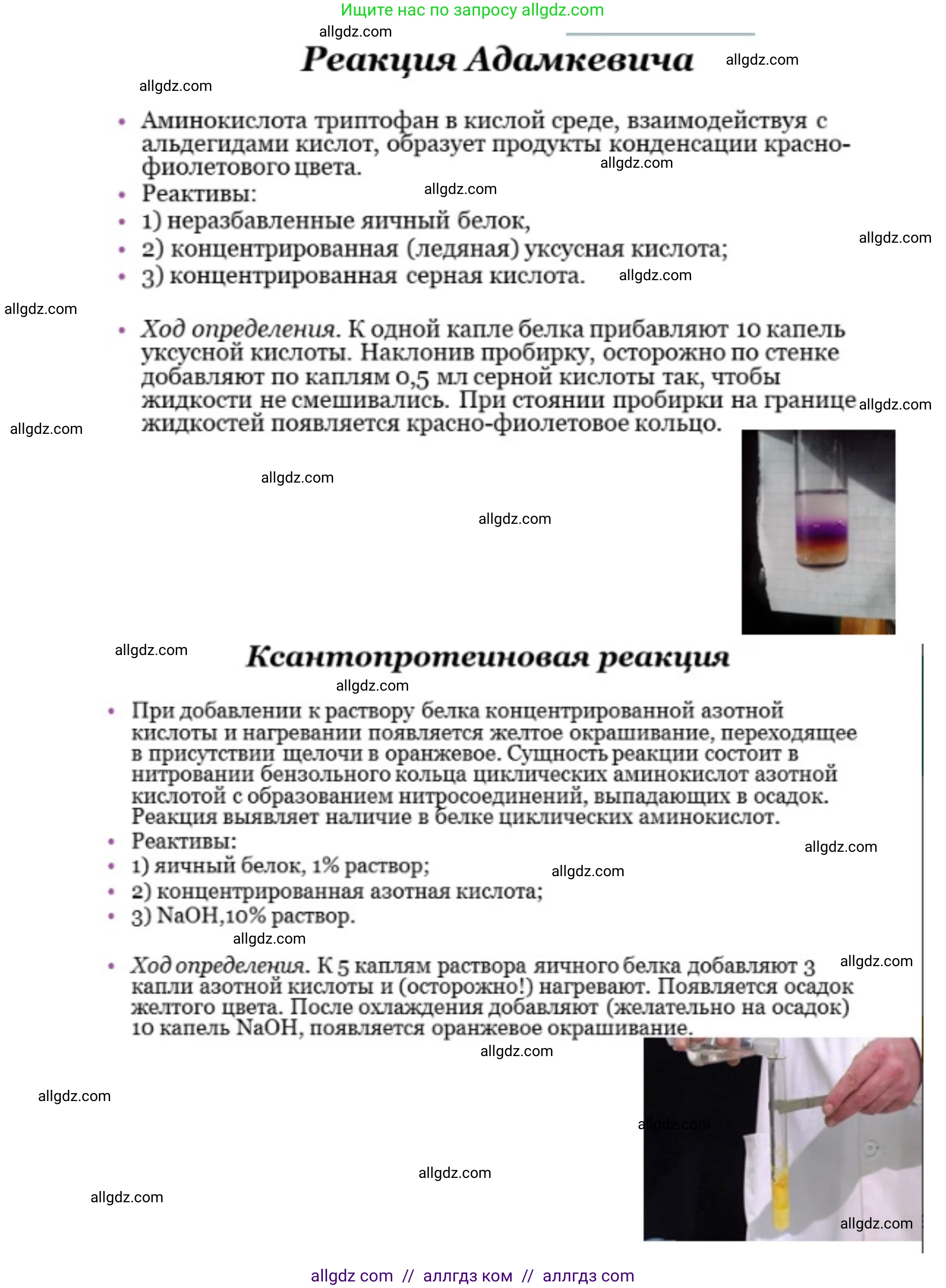 Биология, 10 класс Учебник, авторы: Пасечник Владимир Васильевич, Каменский Андрей Александрович, Рубцов Александр Михайлович, Швецов Глеб Геннадьевич, Абовян Леван Арташесович, Гапонюк Зоя Георгиевна, издательство Просвещение, Москва, 2024, коричневого цвета, Часть 1, страница 76, номер 4, Решение (продолжение 2)