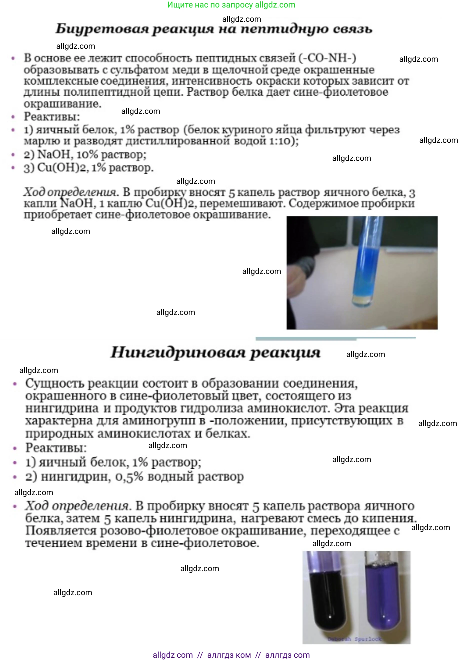 Биология, 10 класс Учебник, авторы: Пасечник Владимир Васильевич, Каменский Андрей Александрович, Рубцов Александр Михайлович, Швецов Глеб Геннадьевич, Абовян Леван Арташесович, Гапонюк Зоя Георгиевна, издательство Просвещение, Москва, 2024, коричневого цвета, Часть 1, страница 76, номер 4, Решение (продолжение 3)