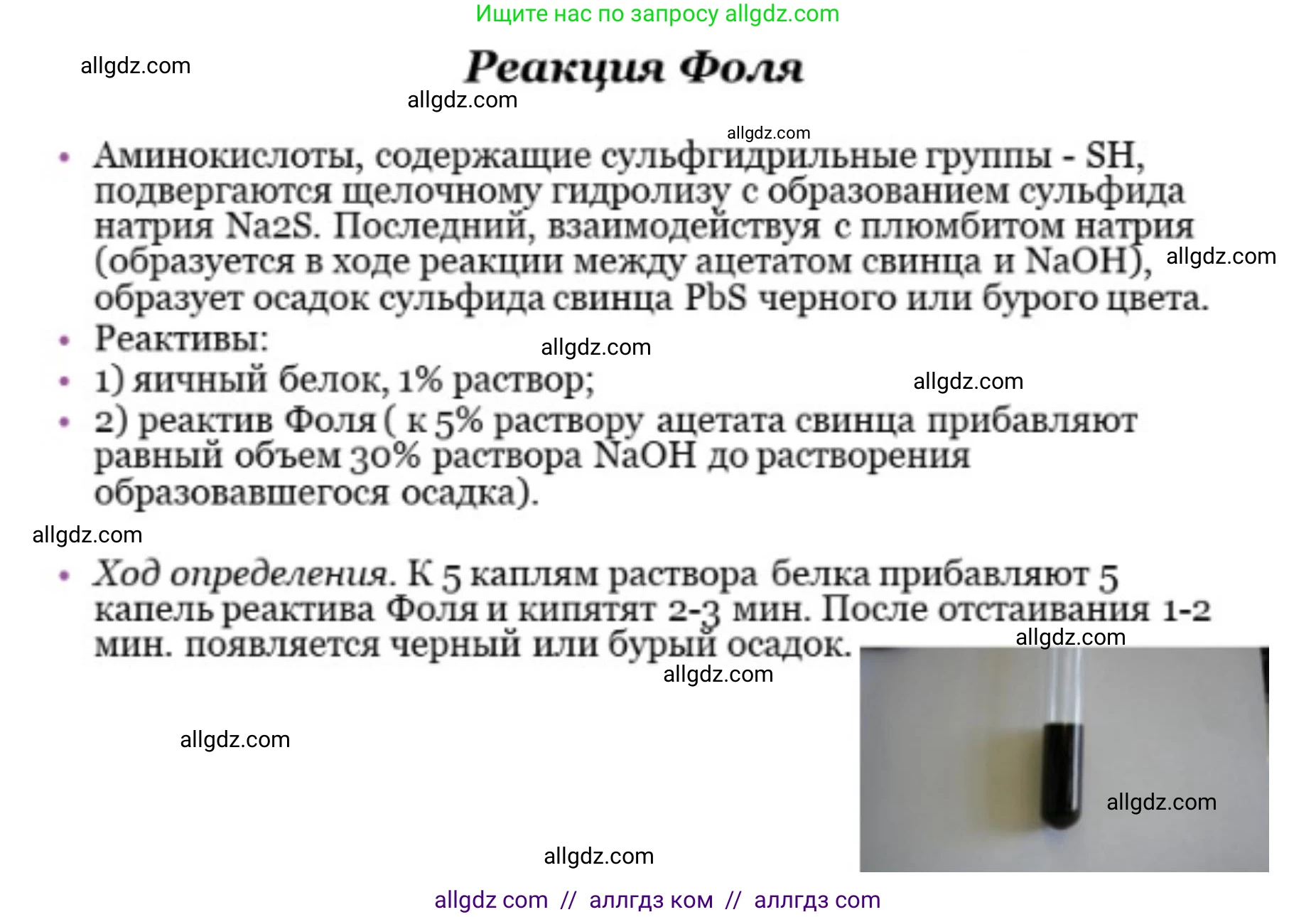 Биология, 10 класс Учебник, авторы: Пасечник Владимир Васильевич, Каменский Андрей Александрович, Рубцов Александр Михайлович, Швецов Глеб Геннадьевич, Абовян Леван Арташесович, Гапонюк Зоя Георгиевна, издательство Просвещение, Москва, 2024, коричневого цвета, Часть 1, страница 76, номер 4, Решение (продолжение 4)