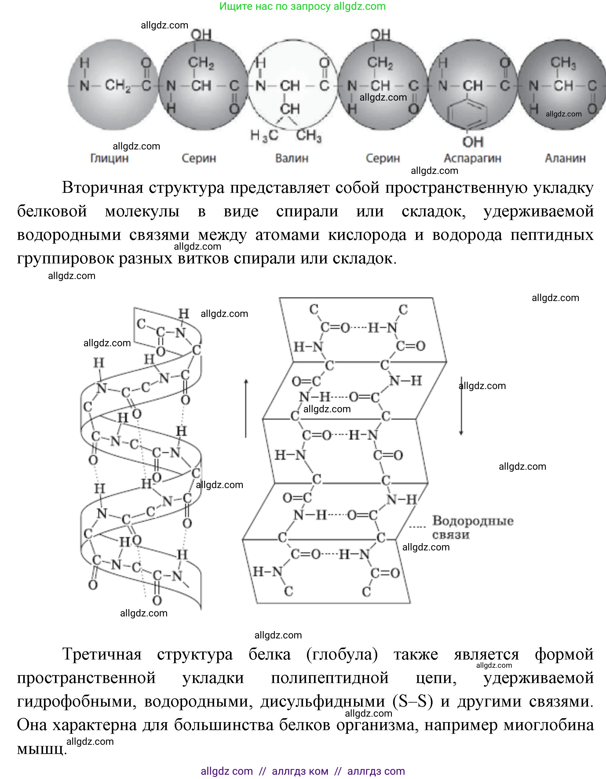Биология, 10 класс Учебник, авторы: Пасечник Владимир Васильевич, Каменский Андрей Александрович, Рубцов Александр Михайлович, Швецов Глеб Геннадьевич, Абовян Леван Арташесович, Гапонюк Зоя Георгиевна, издательство Просвещение, Москва, 2024, коричневого цвета, Часть 1, страница 76, номер 6, Решение (продолжение 2)