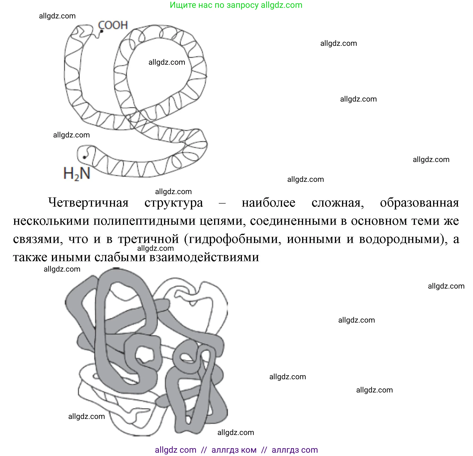 Биология, 10 класс Учебник, авторы: Пасечник Владимир Васильевич, Каменский Андрей Александрович, Рубцов Александр Михайлович, Швецов Глеб Геннадьевич, Абовян Леван Арташесович, Гапонюк Зоя Георгиевна, издательство Просвещение, Москва, 2024, коричневого цвета, Часть 1, страница 76, номер 6, Решение (продолжение 3)