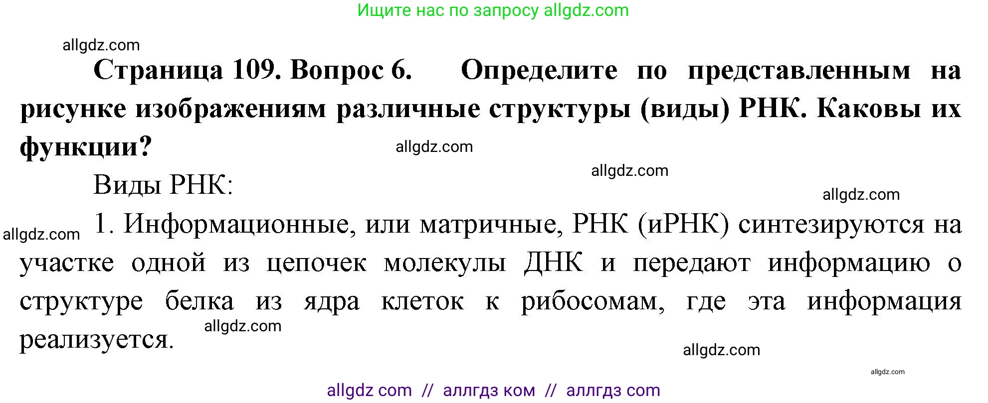 Биология, 10 класс Учебник, авторы: Пасечник Владимир Васильевич, Каменский Андрей Александрович, Рубцов Александр Михайлович, Швецов Глеб Геннадьевич, Абовян Леван Арташесович, Гапонюк Зоя Георгиевна, издательство Просвещение, Москва, 2024, коричневого цвета, Часть 1, страница 109, номер 6, Решение