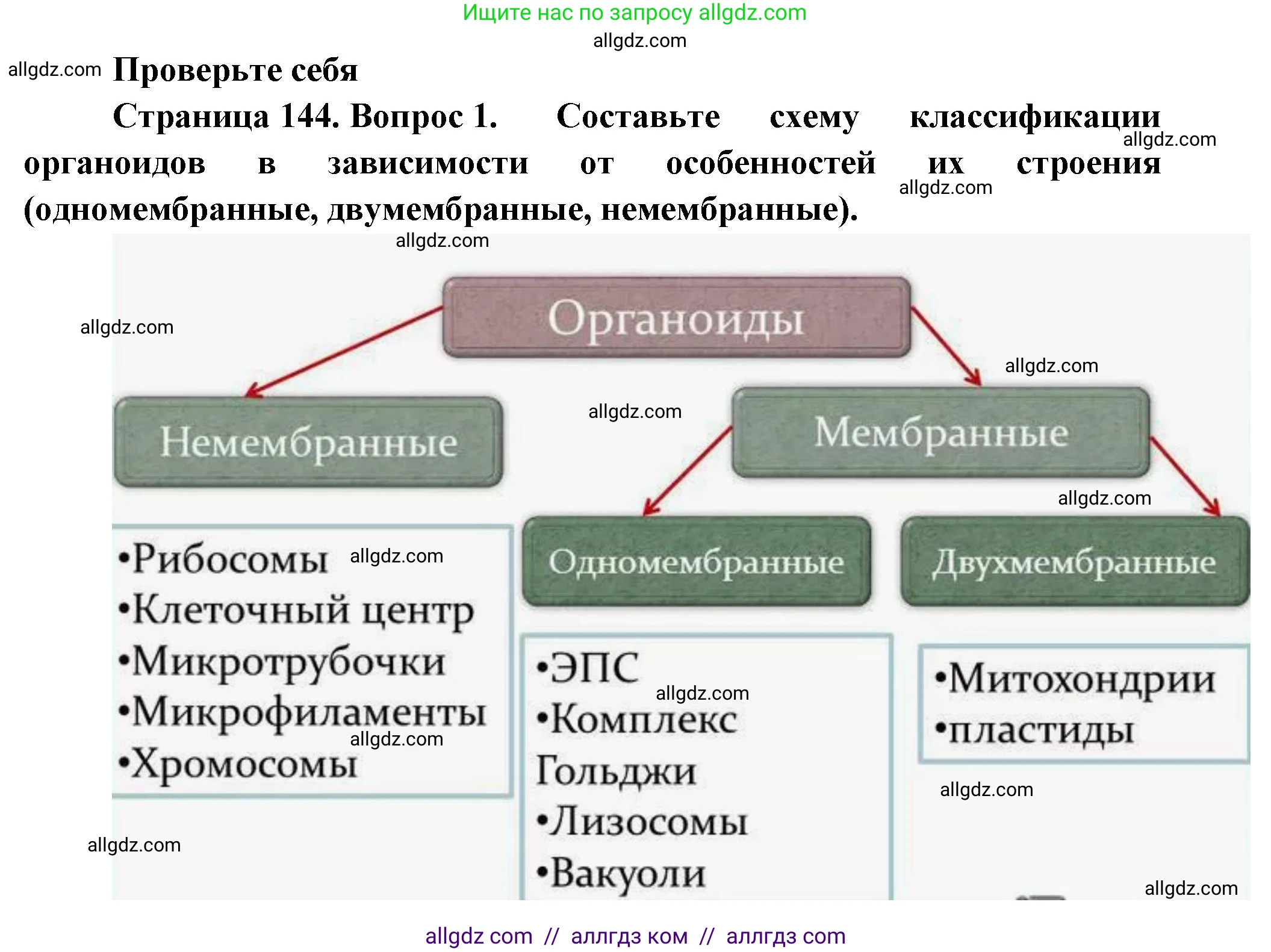 Биология, 10 класс Учебник, авторы: Пасечник Владимир Васильевич, Каменский Андрей Александрович, Рубцов Александр Михайлович, Швецов Глеб Геннадьевич, Абовян Леван Арташесович, Гапонюк Зоя Георгиевна, издательство Просвещение, Москва, 2024, коричневого цвета, Часть 1, страница 144, номер 1, Решение