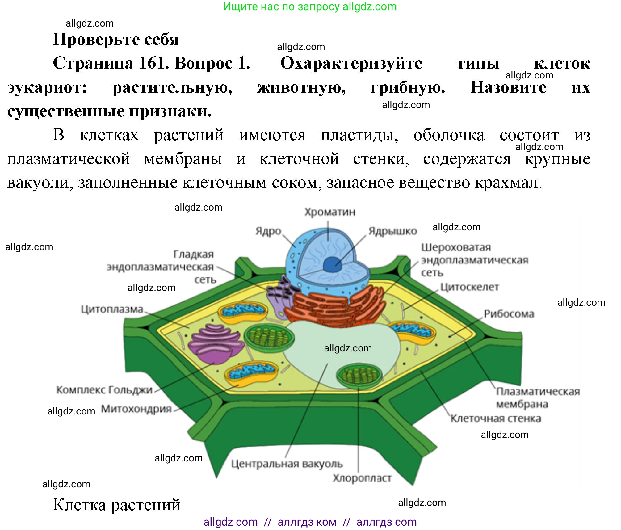 Биология, 10 класс Учебник, авторы: Пасечник Владимир Васильевич, Каменский Андрей Александрович, Рубцов Александр Михайлович, Швецов Глеб Геннадьевич, Абовян Леван Арташесович, Гапонюк Зоя Георгиевна, издательство Просвещение, Москва, 2024, коричневого цвета, Часть 1, страница 161, номер 1, Решение