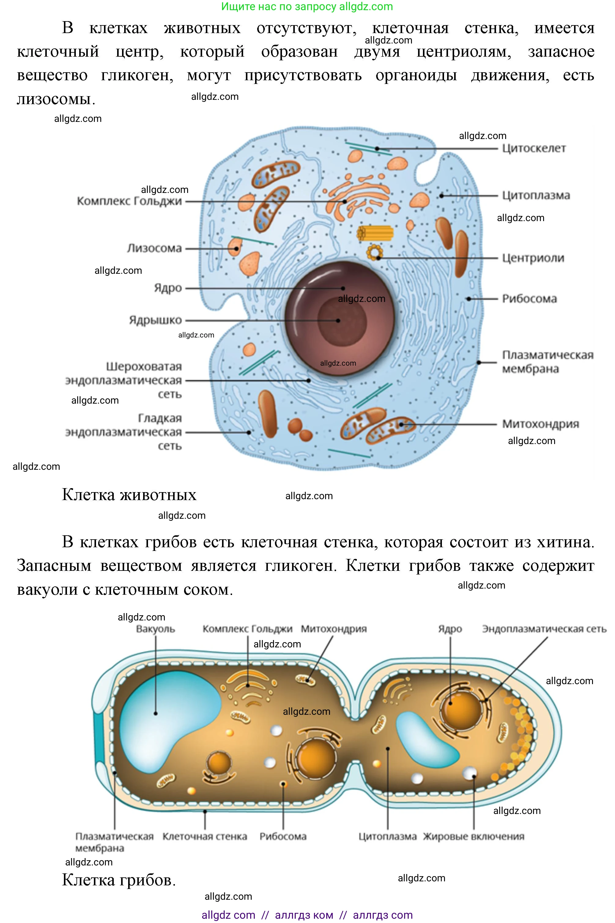 Биология, 10 класс Учебник, авторы: Пасечник Владимир Васильевич, Каменский Андрей Александрович, Рубцов Александр Михайлович, Швецов Глеб Геннадьевич, Абовян Леван Арташесович, Гапонюк Зоя Георгиевна, издательство Просвещение, Москва, 2024, коричневого цвета, Часть 1, страница 161, номер 1, Решение (продолжение 2)