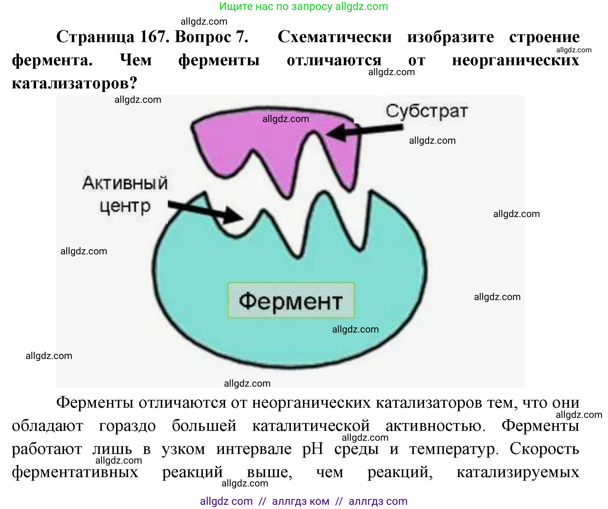 Биология, 10 класс Учебник, авторы: Пасечник Владимир Васильевич, Каменский Андрей Александрович, Рубцов Александр Михайлович, Швецов Глеб Геннадьевич, Абовян Леван Арташесович, Гапонюк Зоя Георгиевна, издательство Просвещение, Москва, 2024, коричневого цвета, Часть 1, страница 167, номер 7, Решение
