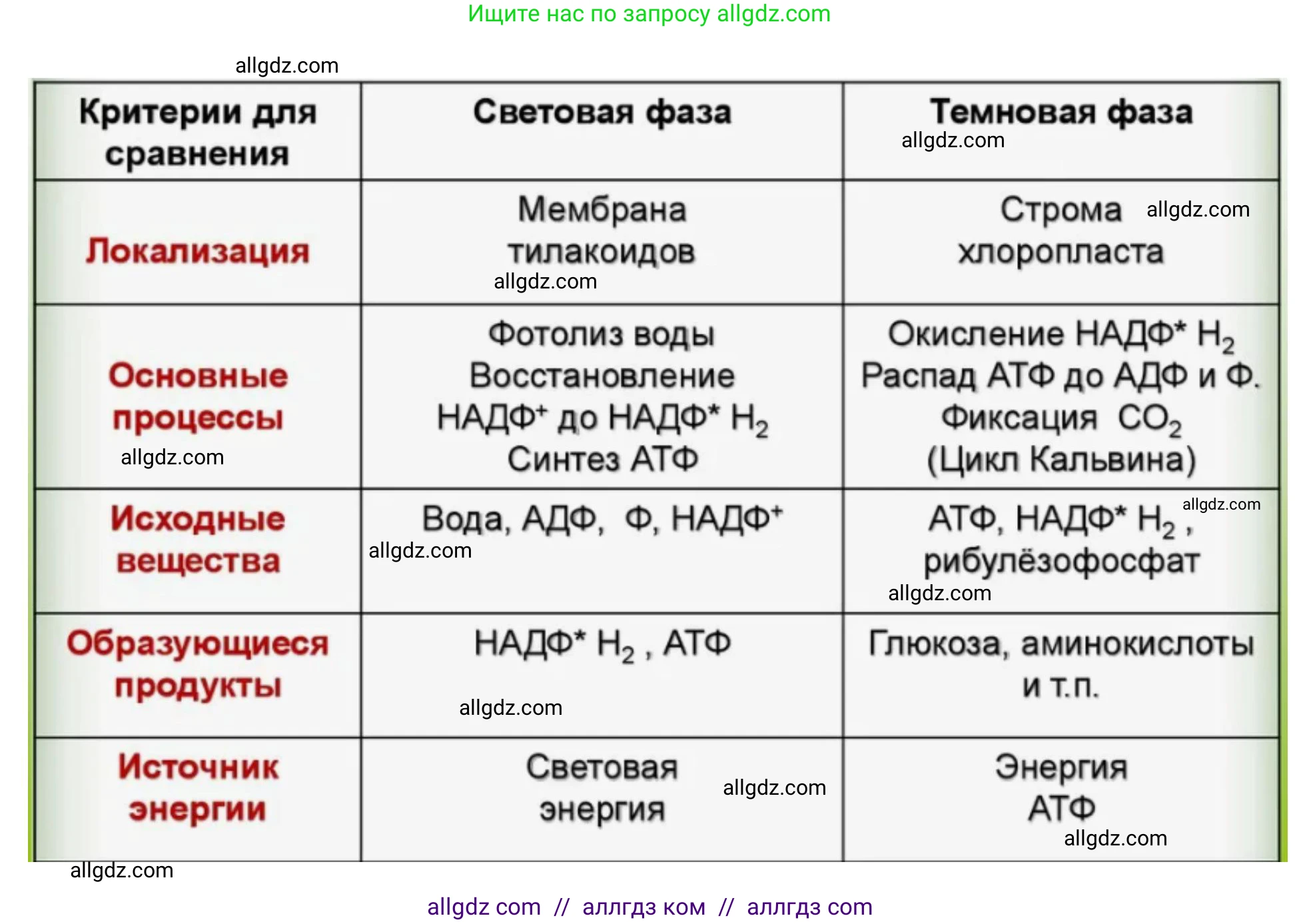 Биология, 10 класс Учебник, авторы: Пасечник Владимир Васильевич, Каменский Андрей Александрович, Рубцов Александр Михайлович, Швецов Глеб Геннадьевич, Абовян Леван Арташесович, Гапонюк Зоя Георгиевна, издательство Просвещение, Москва, 2024, коричневого цвета, Часть 1, страница 176, номер 5, Решение (продолжение 2)