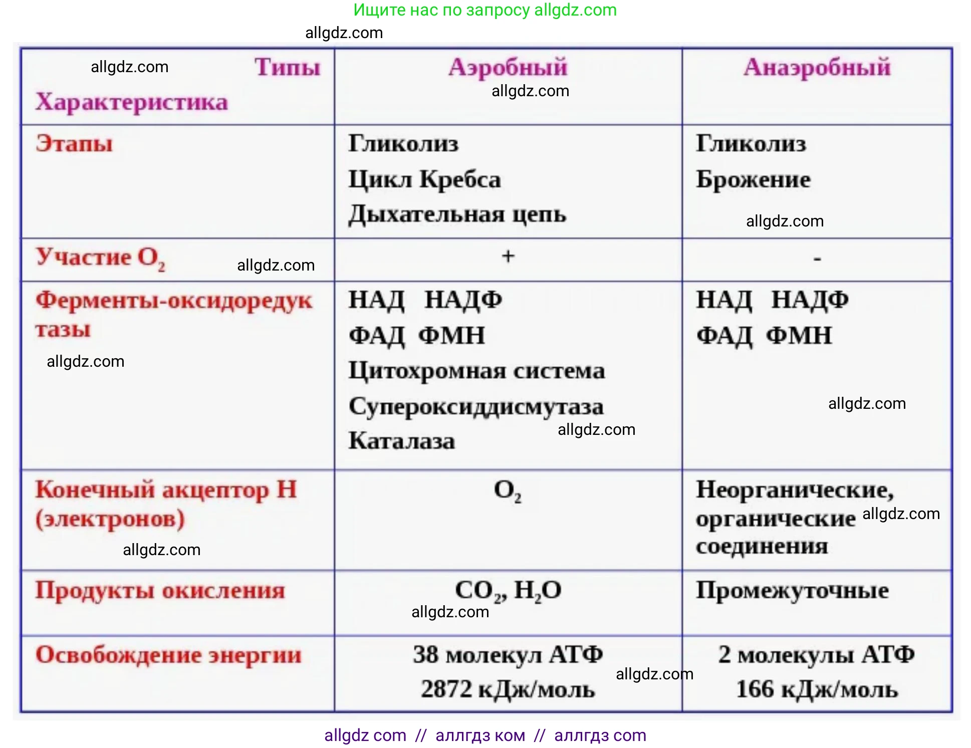 Биология, 10 класс Учебник, авторы: Пасечник Владимир Васильевич, Каменский Андрей Александрович, Рубцов Александр Михайлович, Швецов Глеб Геннадьевич, Абовян Леван Арташесович, Гапонюк Зоя Георгиевна, издательство Просвещение, Москва, 2024, коричневого цвета, Часть 1, страница 190, номер 6, Решение (продолжение 2)