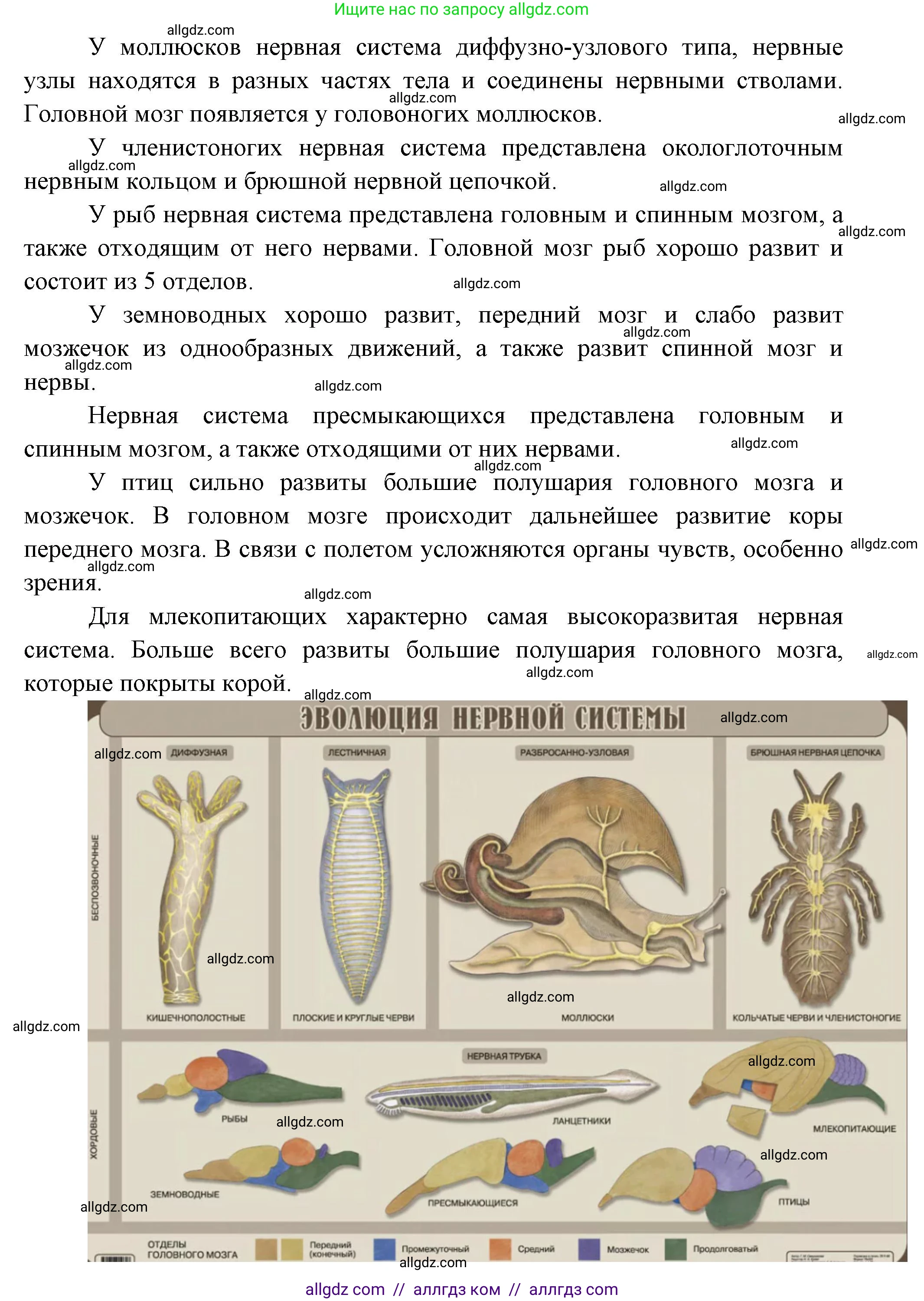 Биология, 10 класс Учебник, авторы: Пасечник Владимир Васильевич, Каменский Андрей Александрович, Рубцов Александр Михайлович, Швецов Глеб Геннадьевич, Абовян Леван Арташесович, Гапонюк Зоя Георгиевна, издательство Просвещение, Москва, 2024, коричневого цвета, Часть 2, страница 93, номер 6, Решение (продолжение 2)