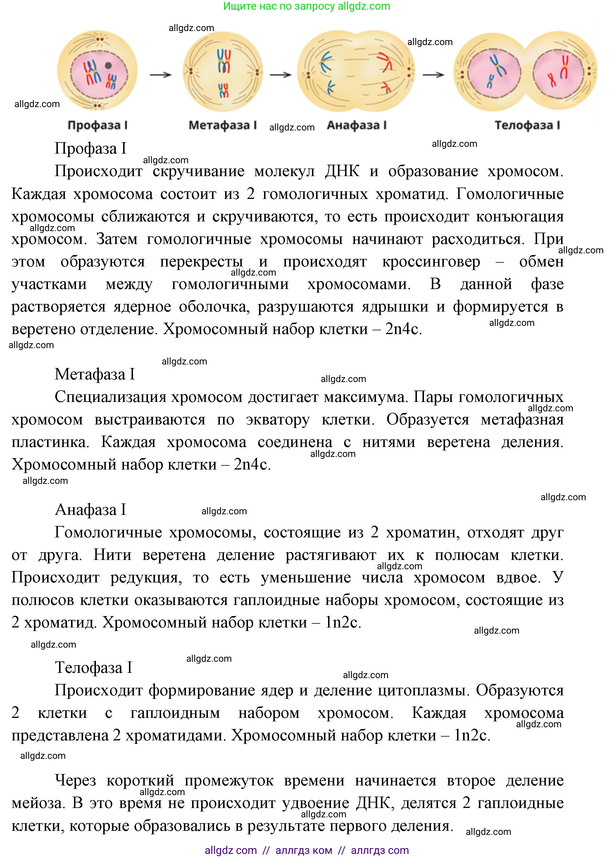Биология, 10 класс Учебник, авторы: Пасечник Владимир Васильевич, Каменский Андрей Александрович, Рубцов Александр Михайлович, Швецов Глеб Геннадьевич, Абовян Леван Арташесович, Гапонюк Зоя Георгиевна, издательство Просвещение, Москва, 2024, коричневого цвета, Часть 2, страница 109, номер 3, Решение (продолжение 2)