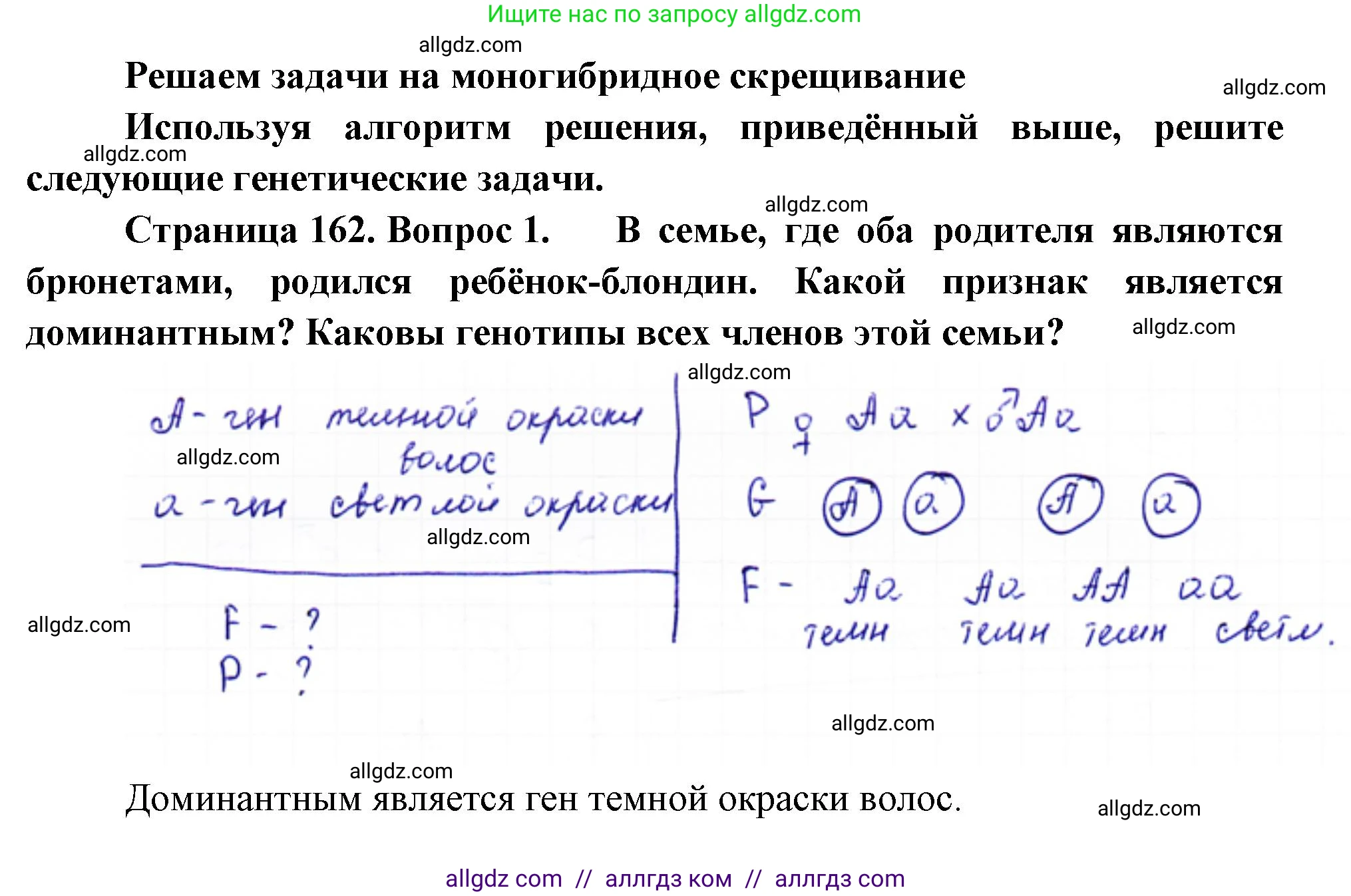 Биология, 10 класс Учебник, авторы: Пасечник Владимир Васильевич, Каменский Андрей Александрович, Рубцов Александр Михайлович, Швецов Глеб Геннадьевич, Абовян Леван Арташесович, Гапонюк Зоя Георгиевна, издательство Просвещение, Москва, 2024, коричневого цвета, Часть 2, страница 162, номер 1, Решение